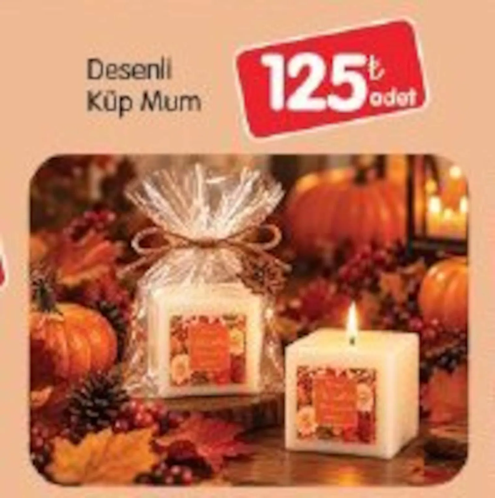 Bizim Gross broşürü sayfa 76