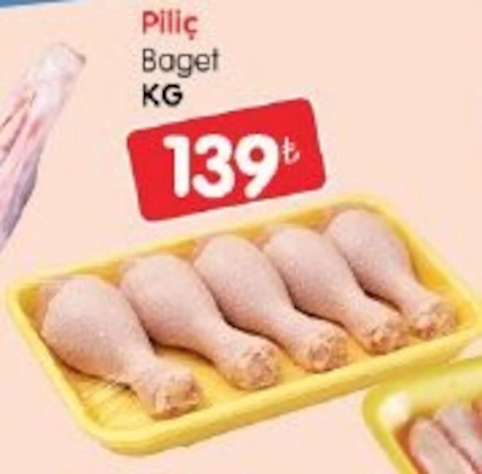 Bizim Gross broşürü sayfa 24