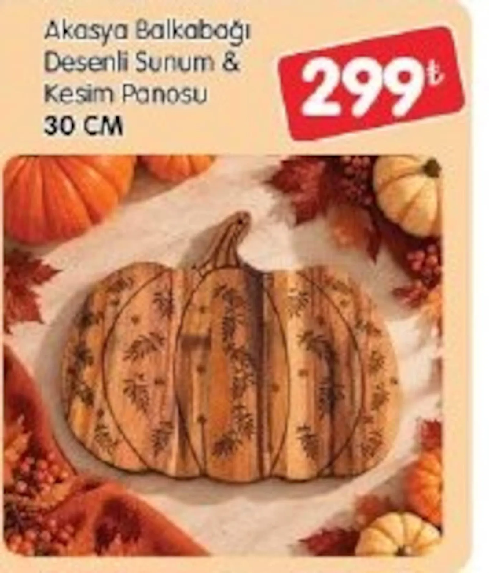 Bizim Gross broşürü sayfa 87