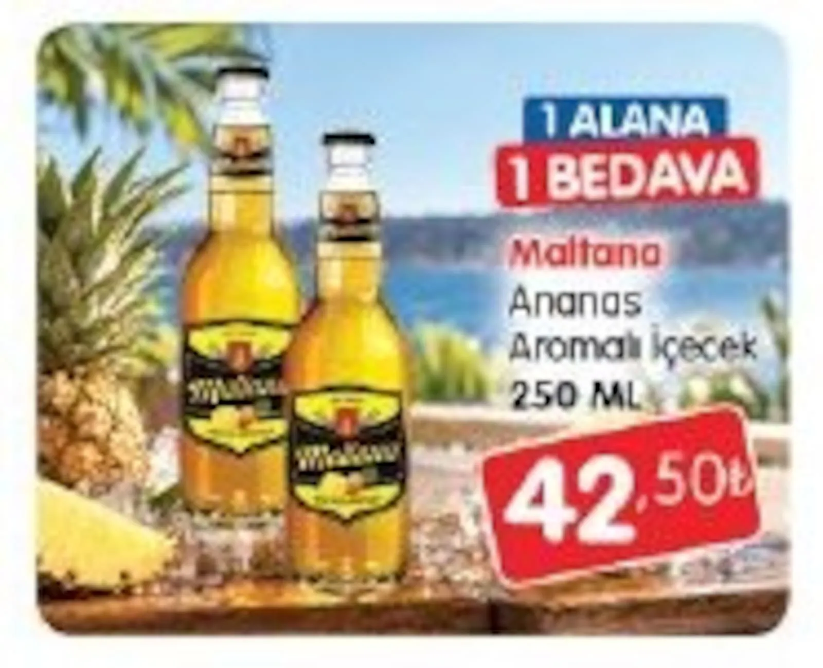 Bizim Gross broşürü sayfa 9