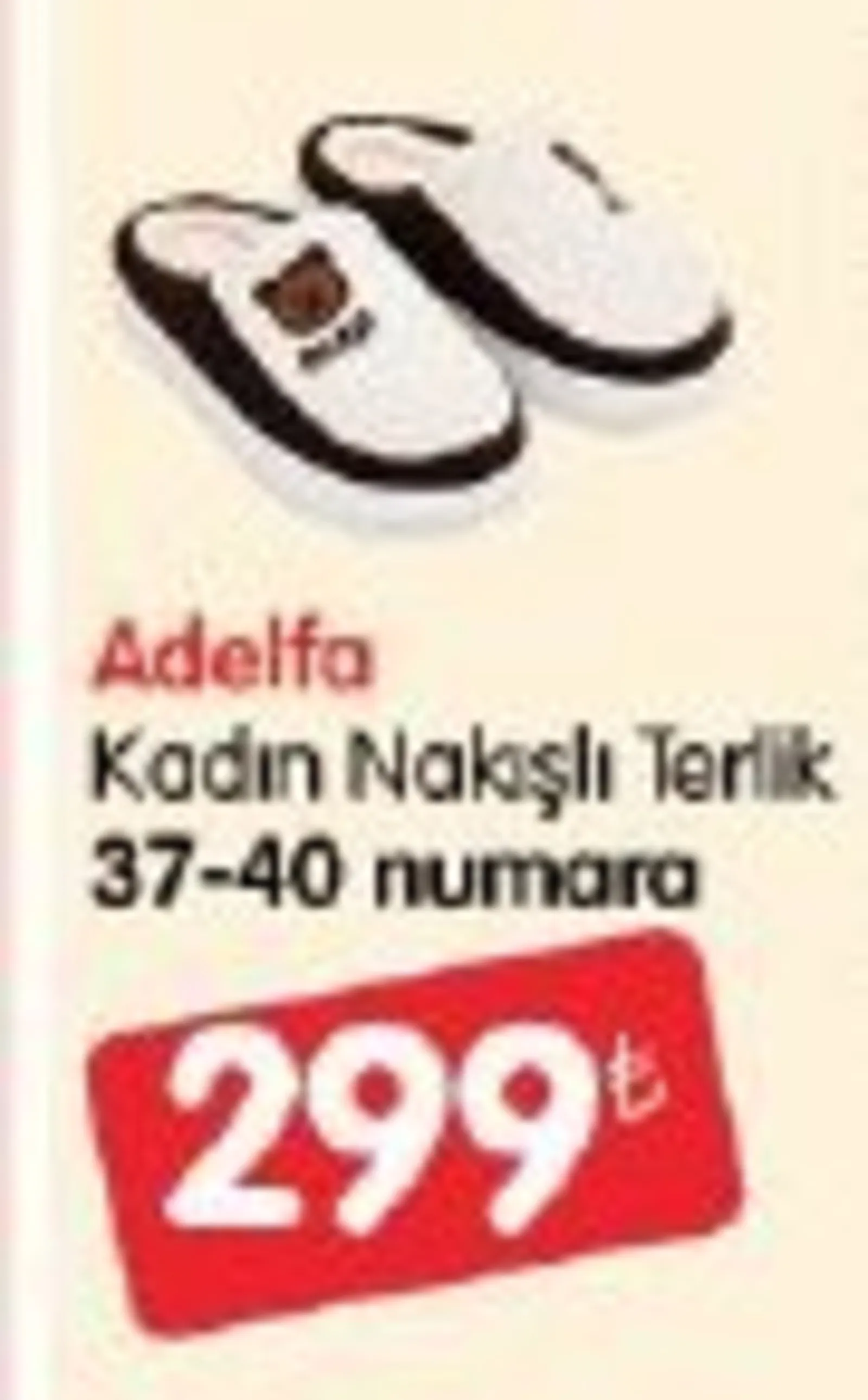 Bizim Toptan broşürü sayfa 42