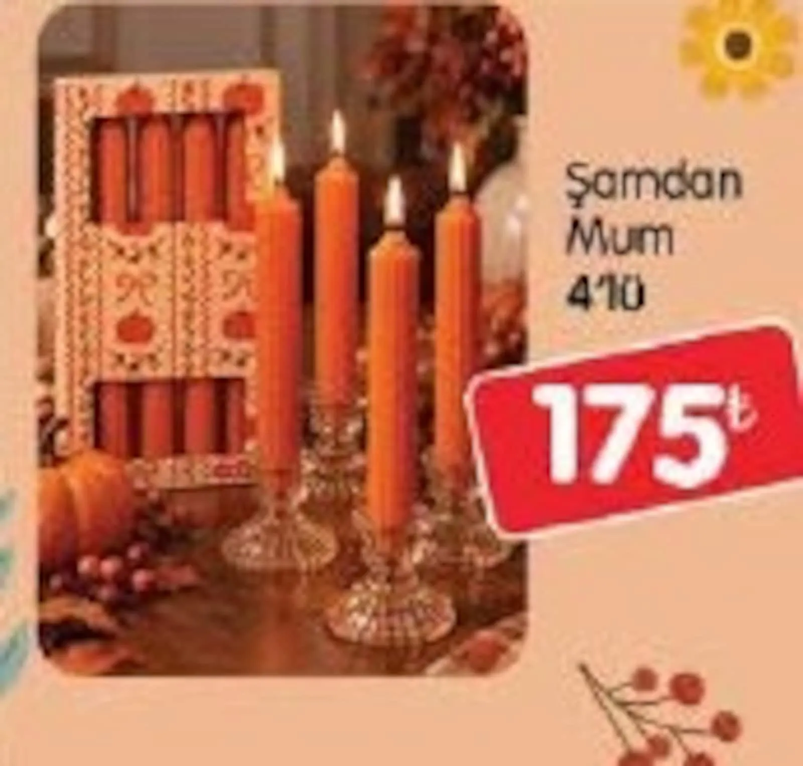 Bizim Toptan broşürü sayfa 78