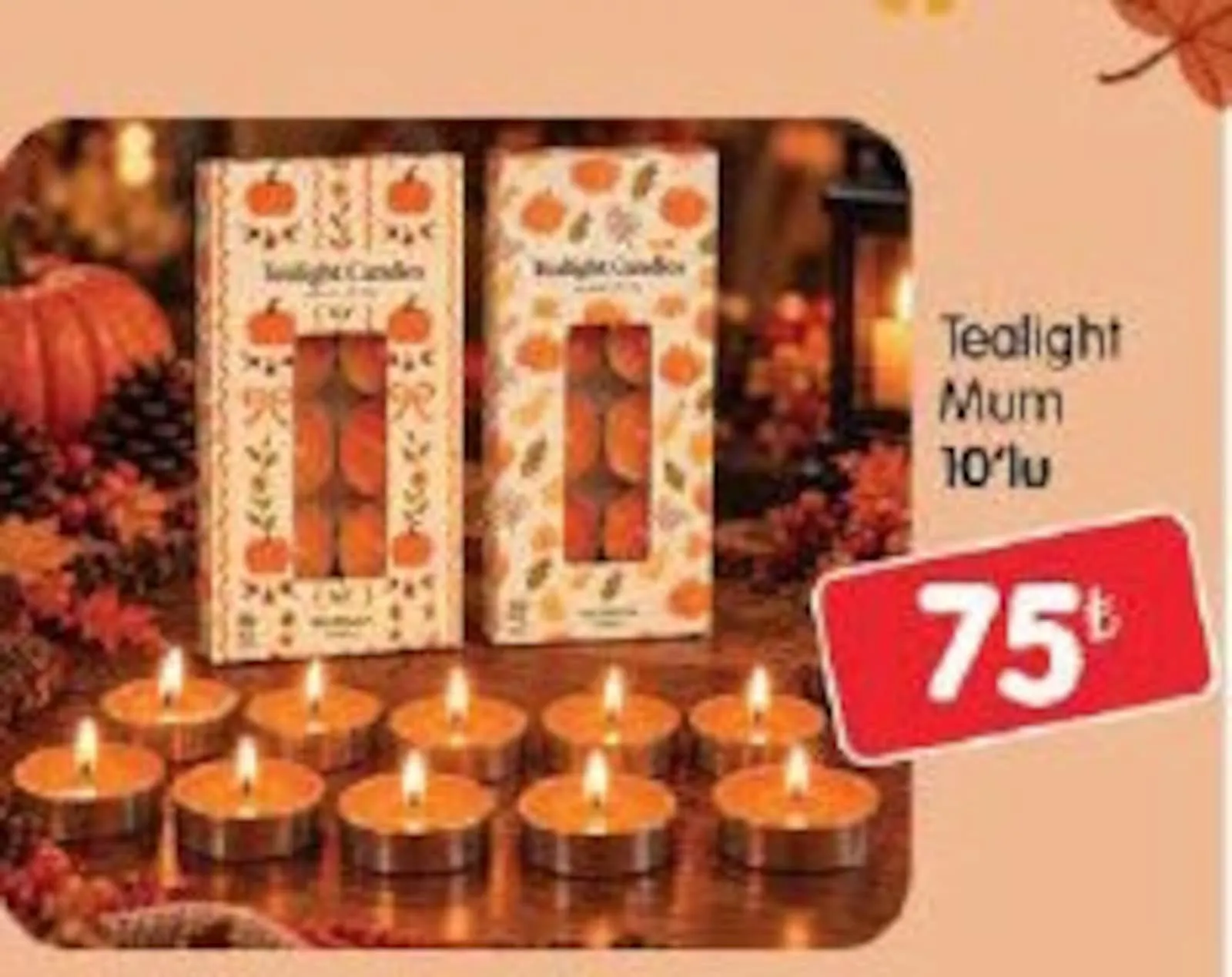Bizim Toptan broşürü sayfa 68