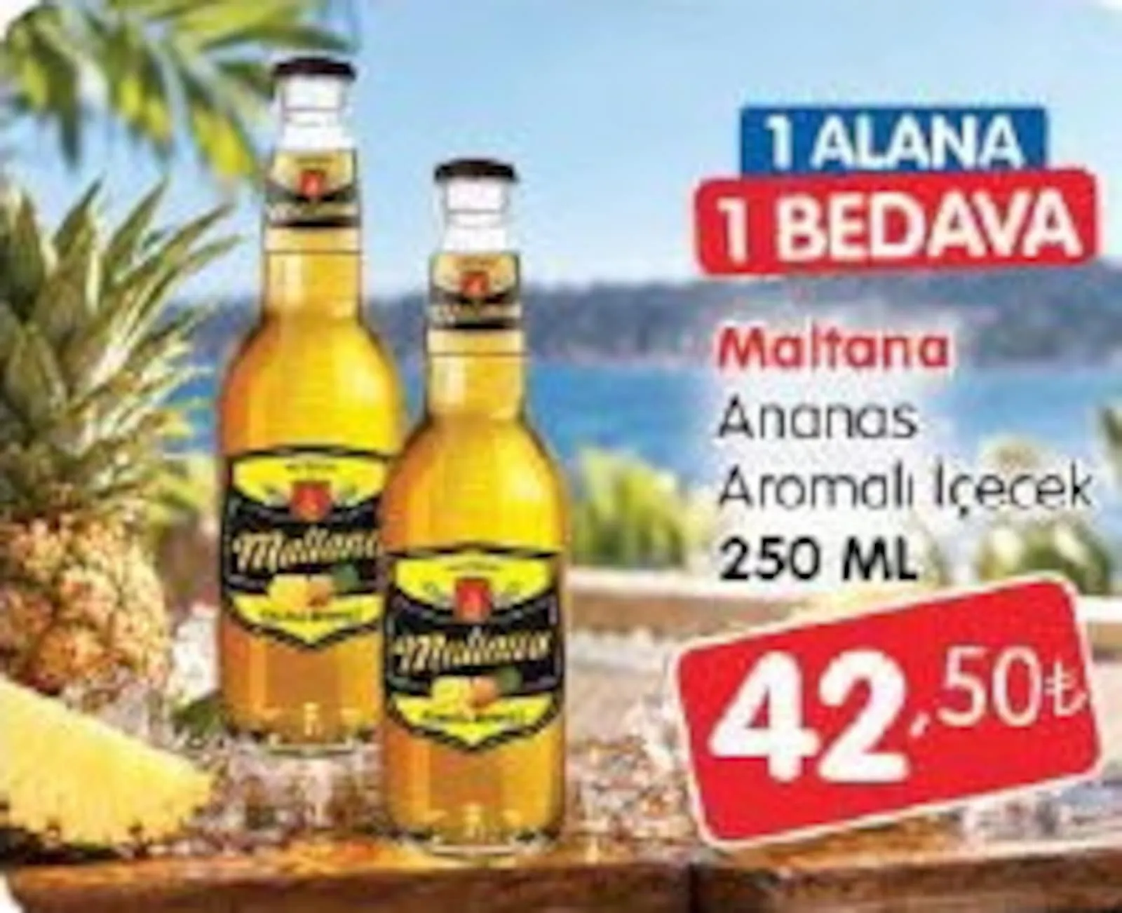 Bizim Toptan broşürü sayfa 9