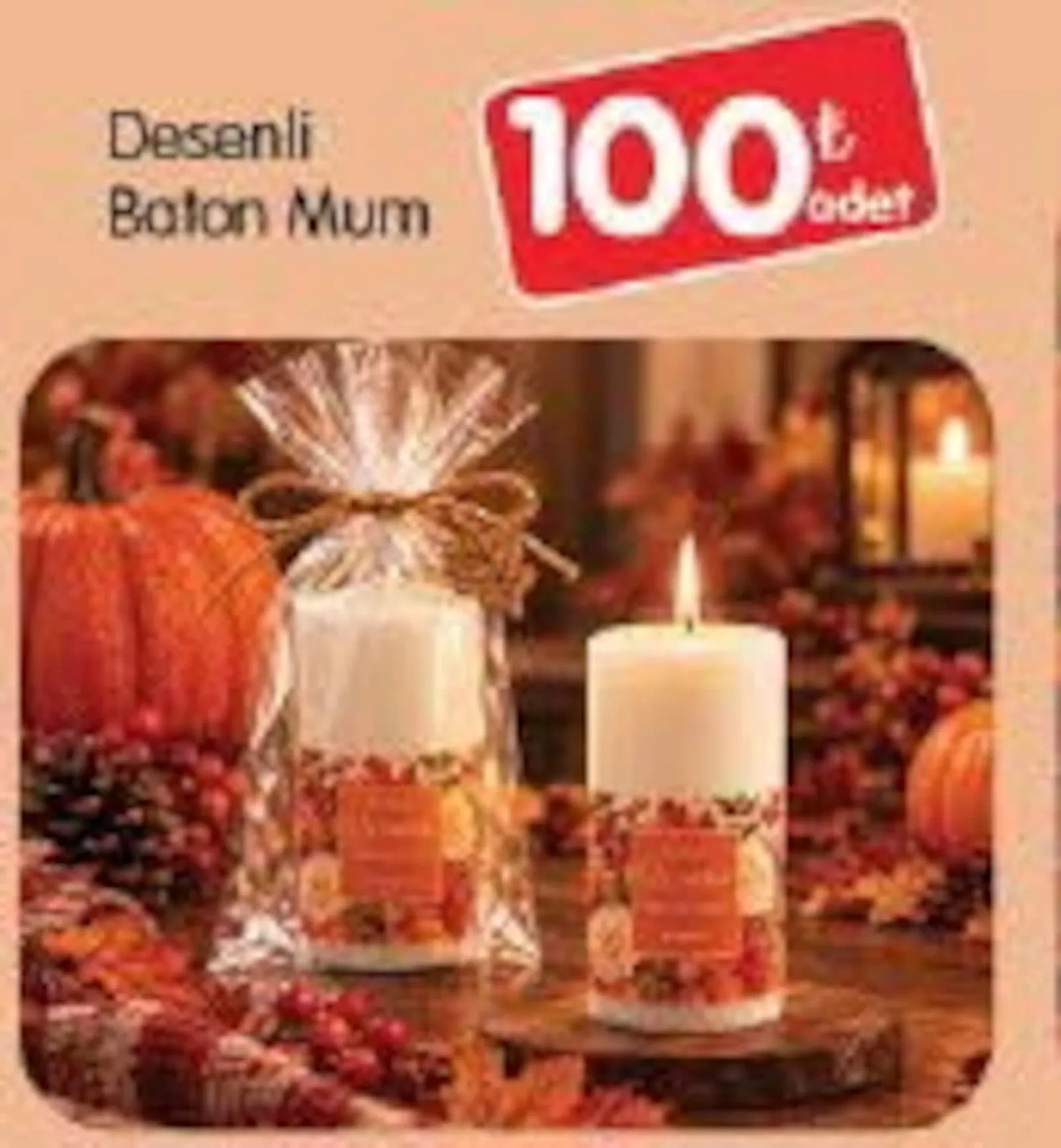 Bizim Toptan broşürü sayfa 70