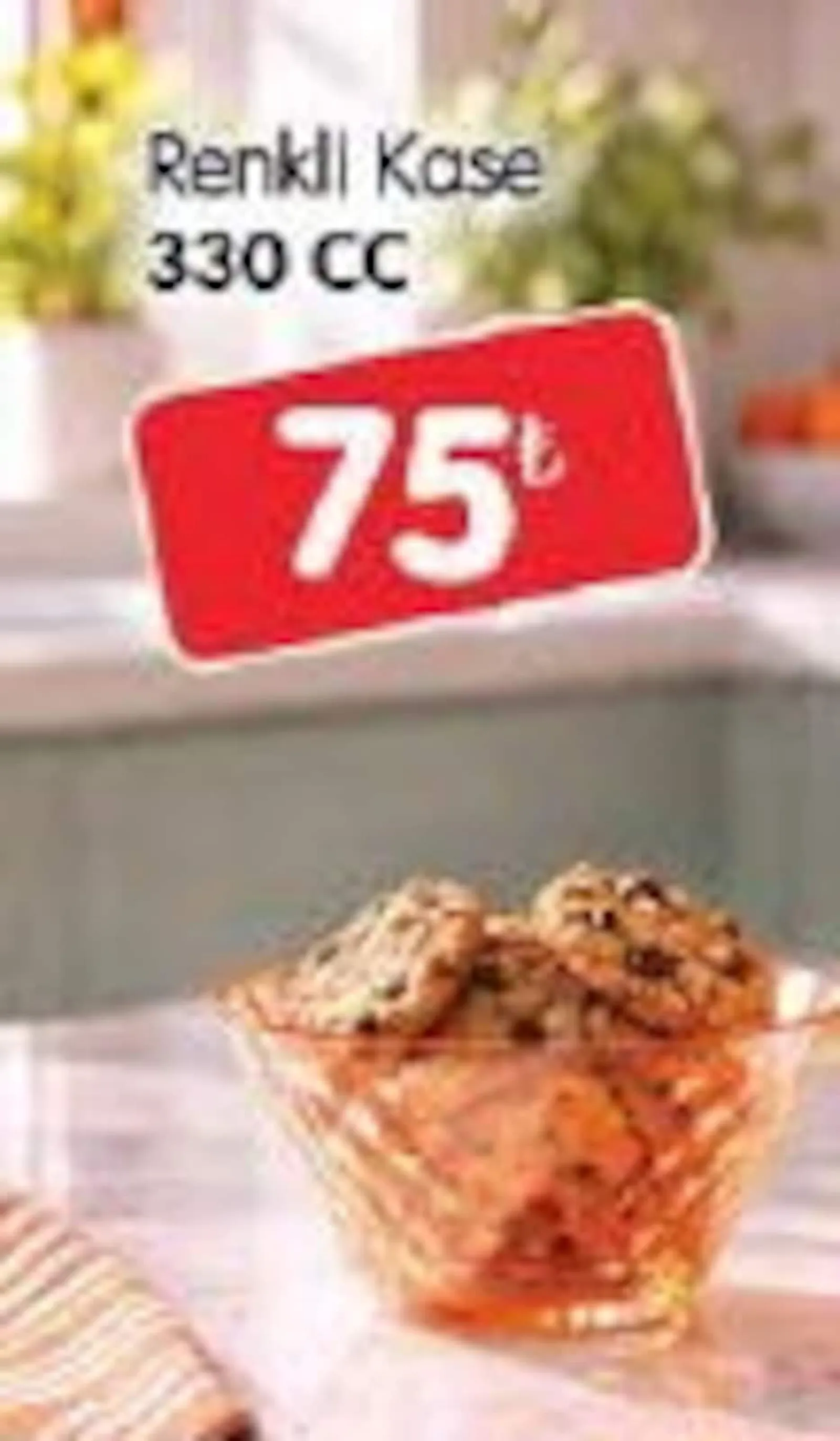 Bizim Toptan broşürü sayfa 67