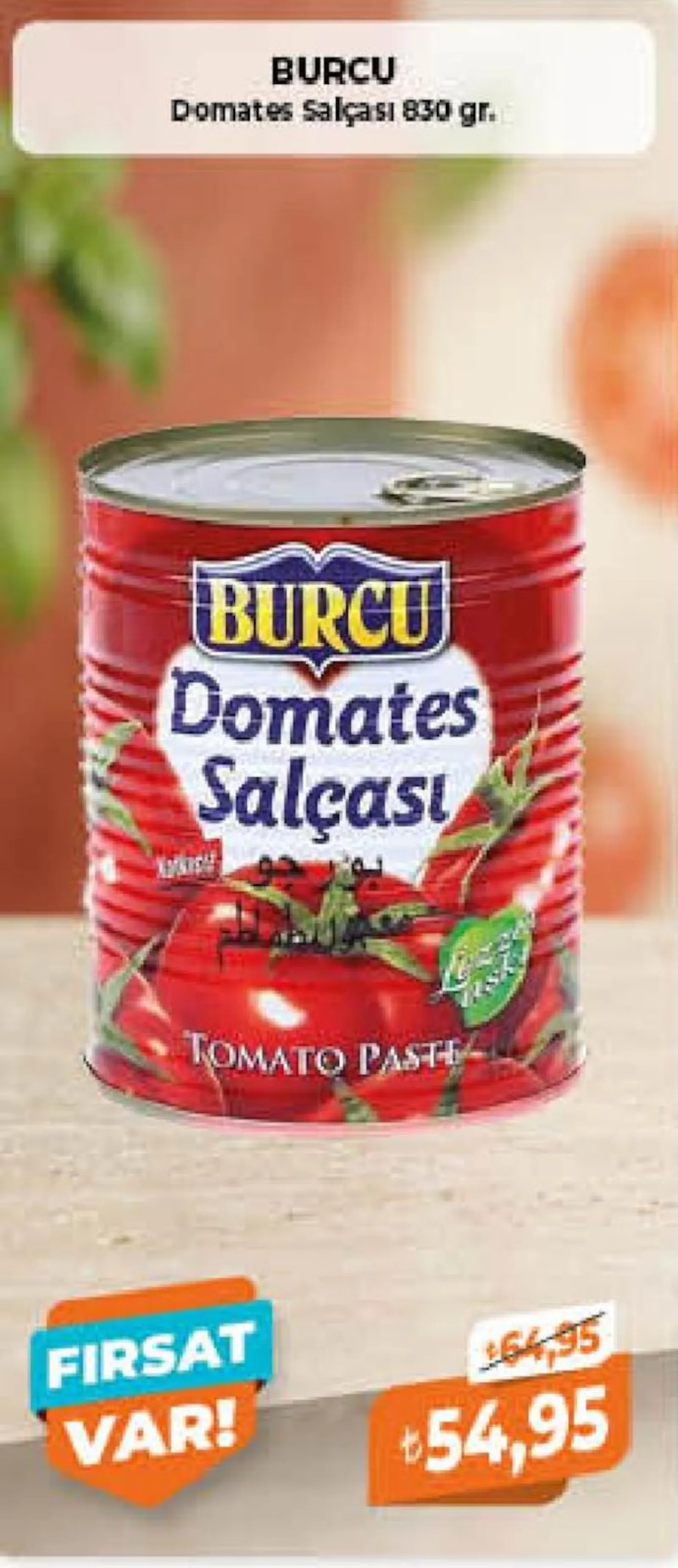 Çağrı Market broşürü sayfa 102