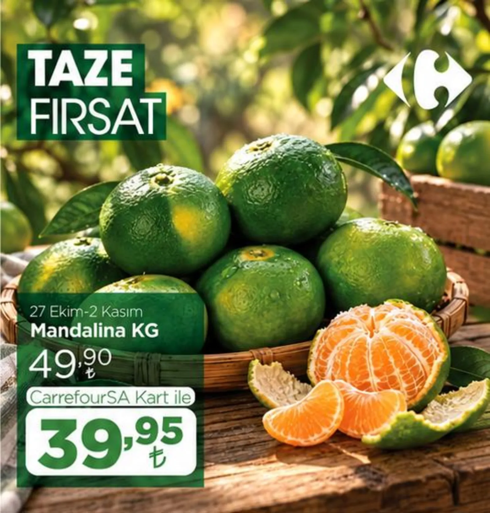 CarrefourSA broşürü sayfa 13