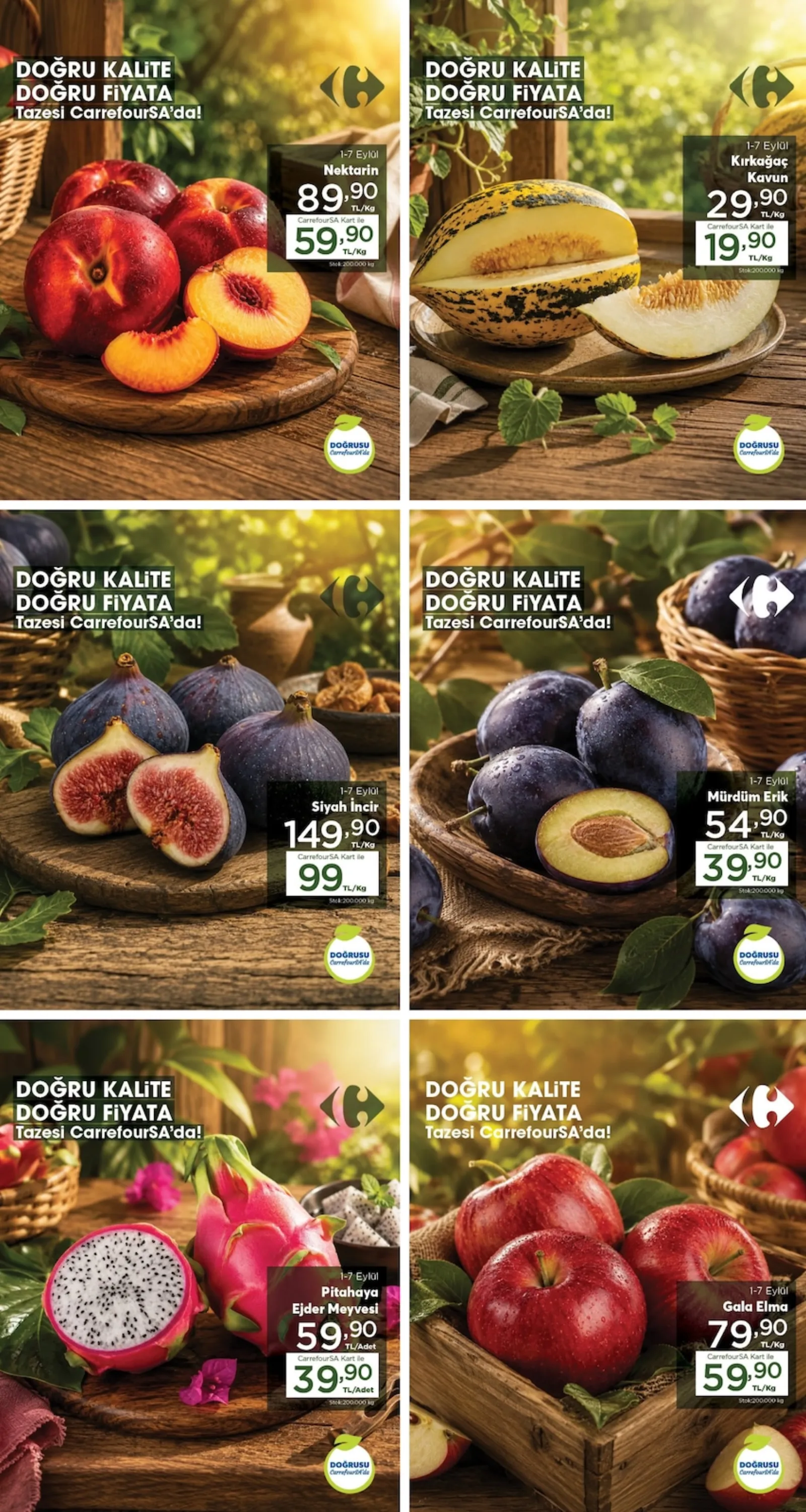 CarrefourSA broşürü