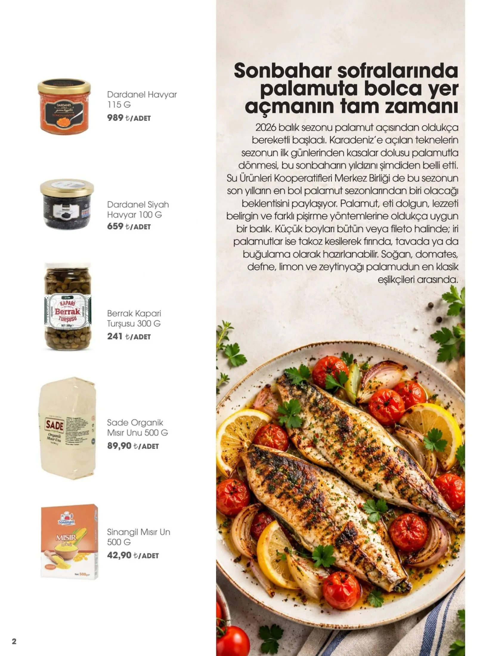 CarrefourSA broşürü sayfa 2