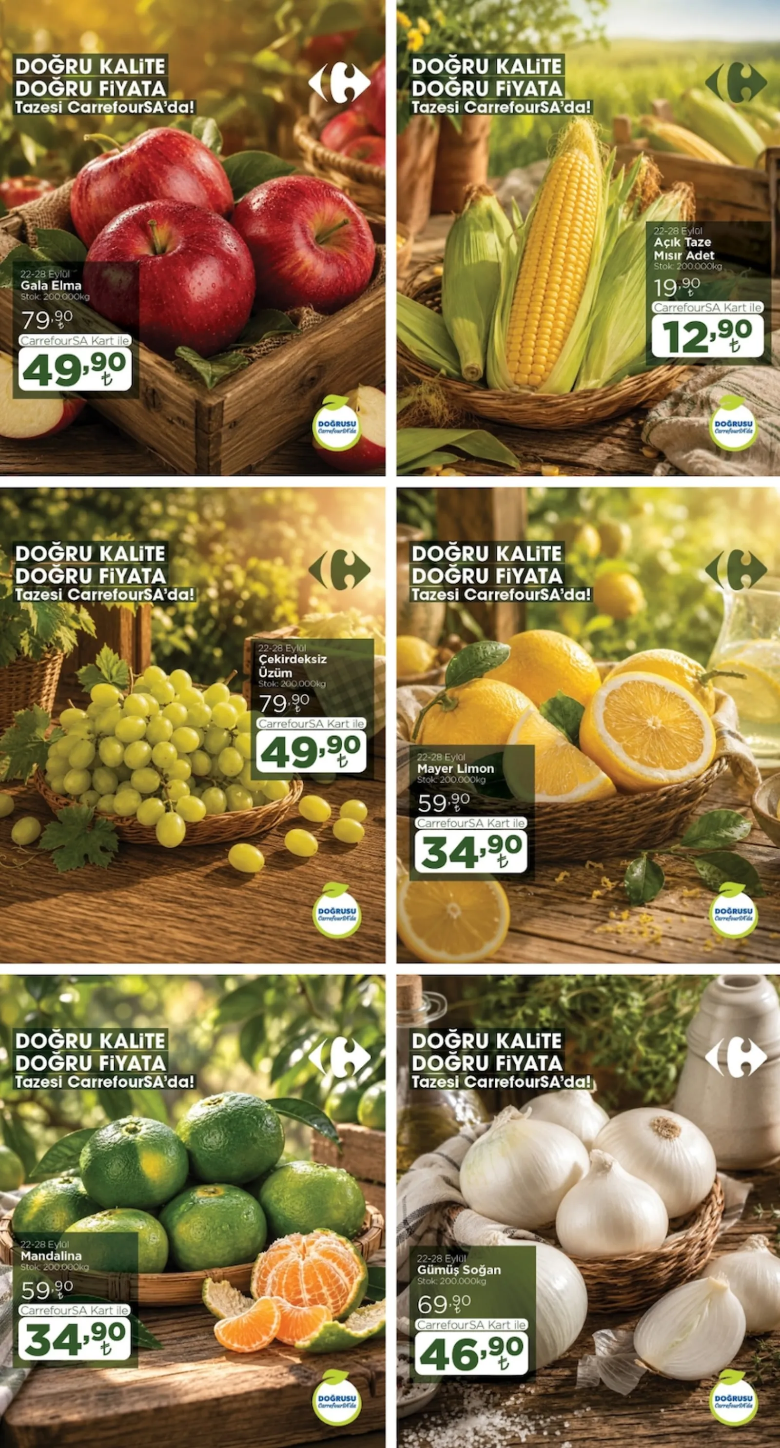 CarrefourSA broşürü sayfa 2
