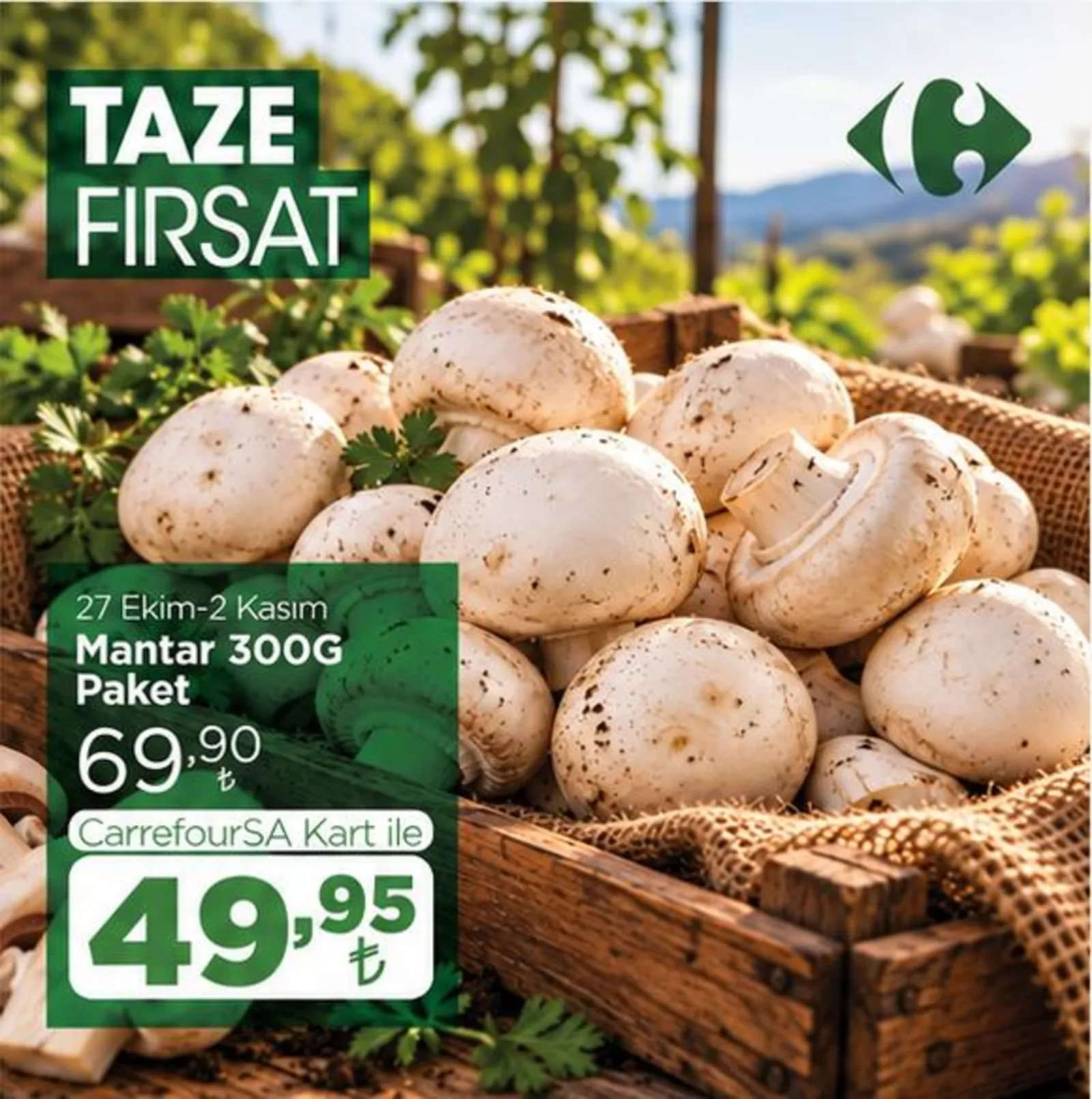CarrefourSA broşürü sayfa 9