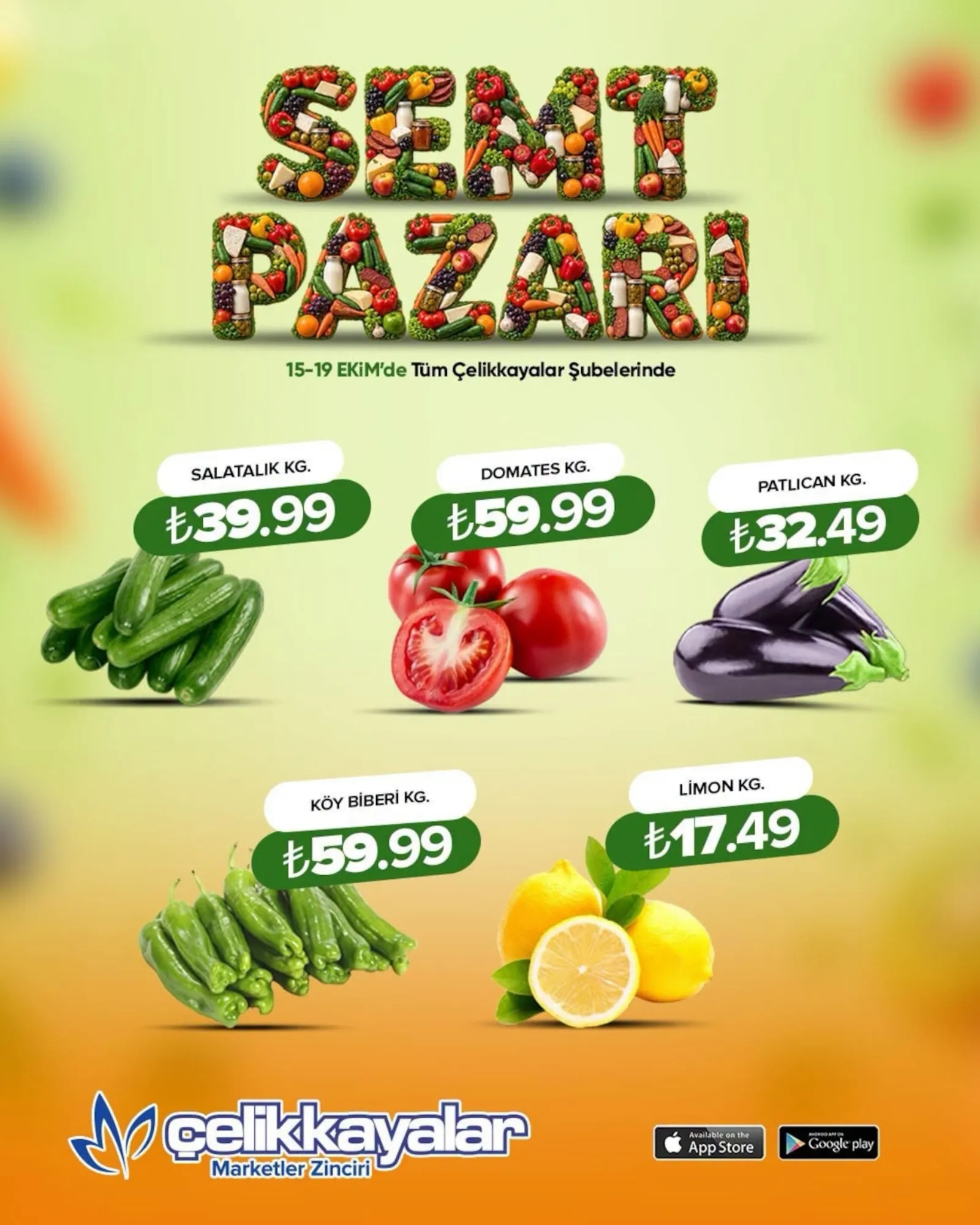 Çelikkayalar broşürü sayfa 4