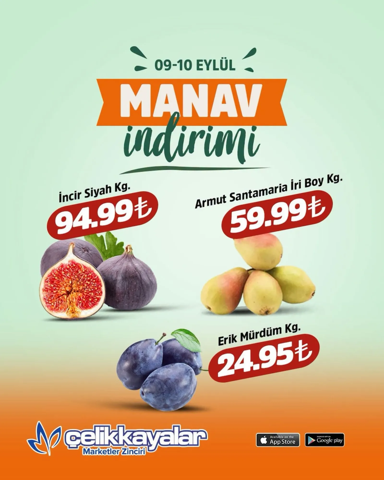 Çelikkayalar broşürü sayfa 1