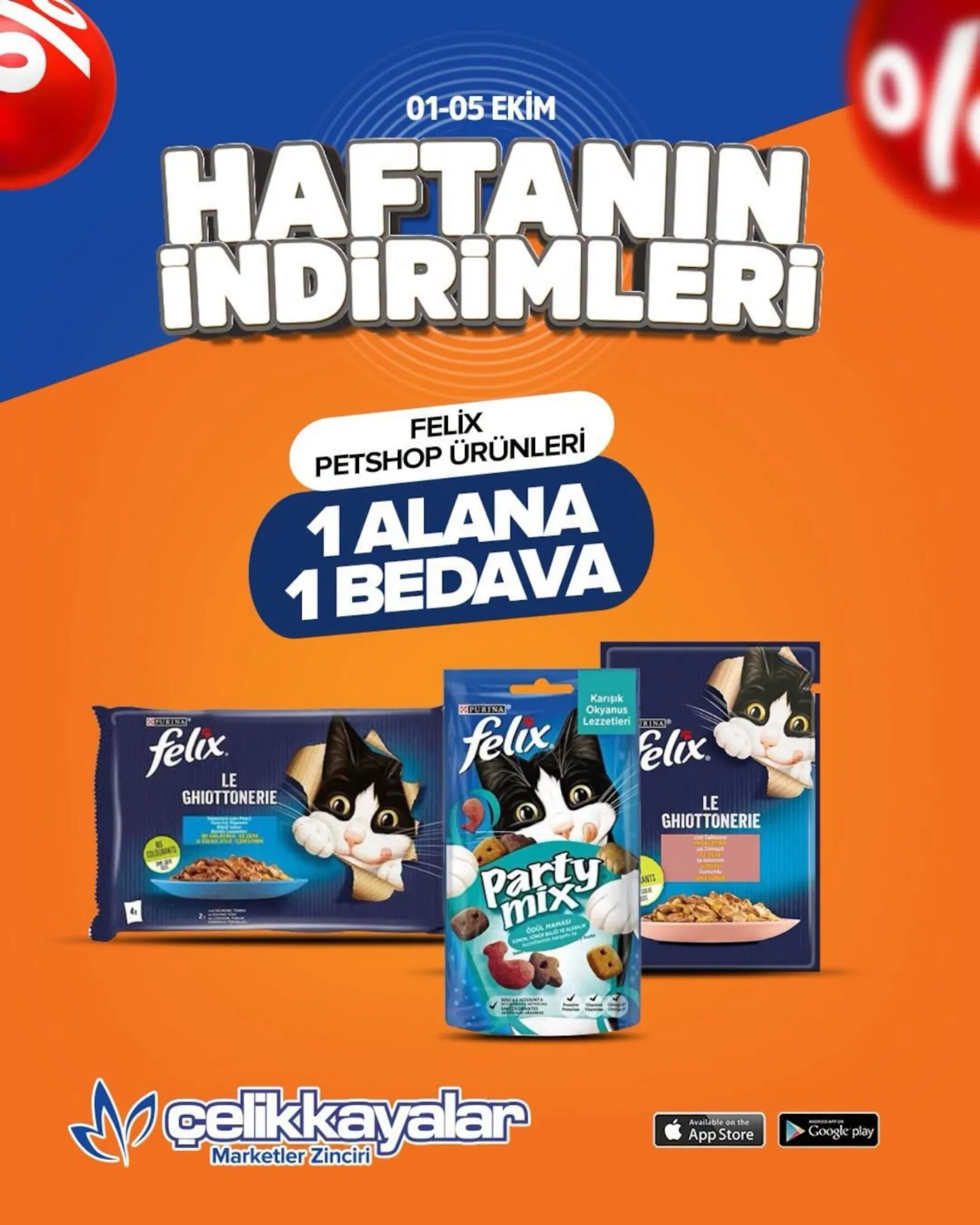 Çelikkayalar broşürü sayfa 9