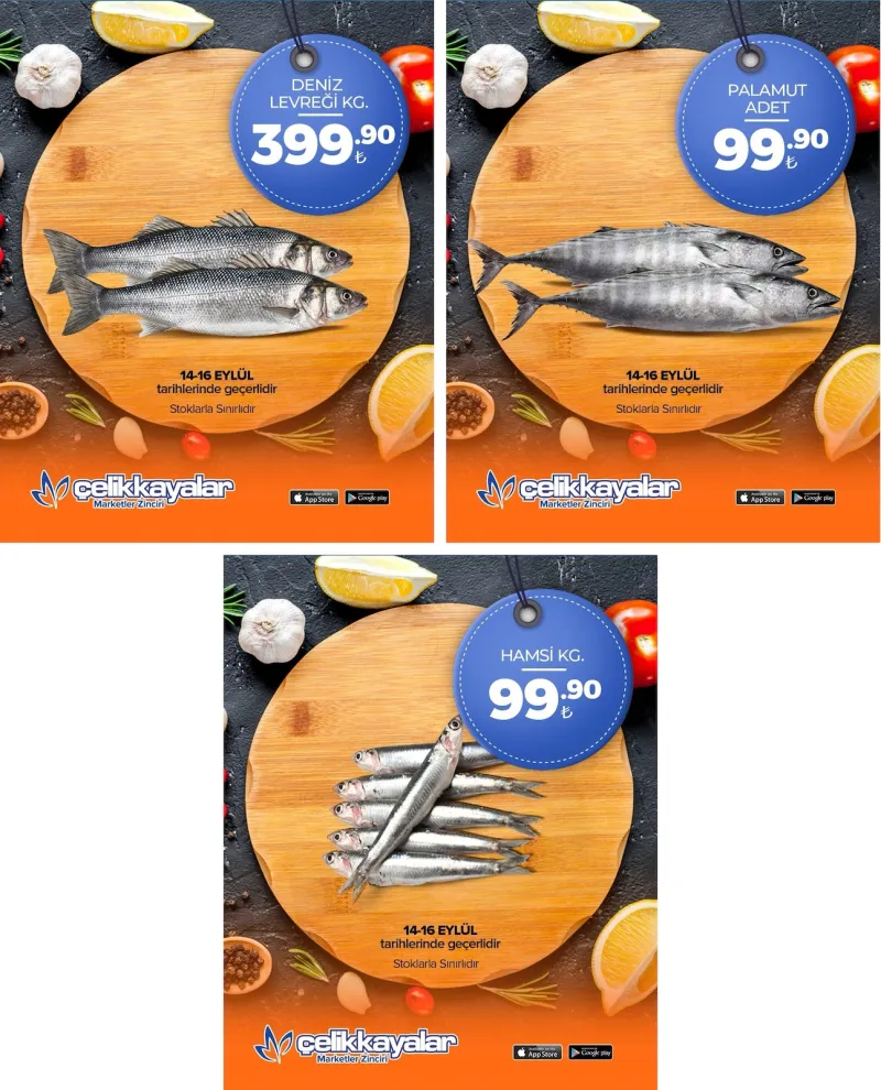 Çelikkayalar broşürü sayfa 1