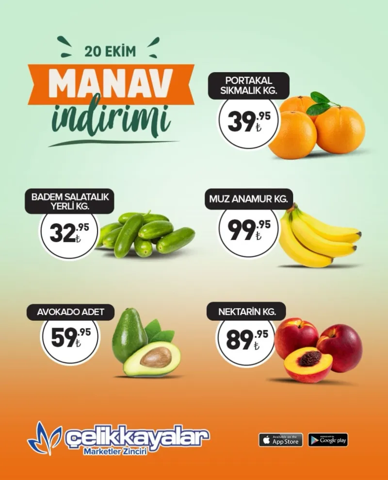 Çelikkayalar broşürü sayfa 1