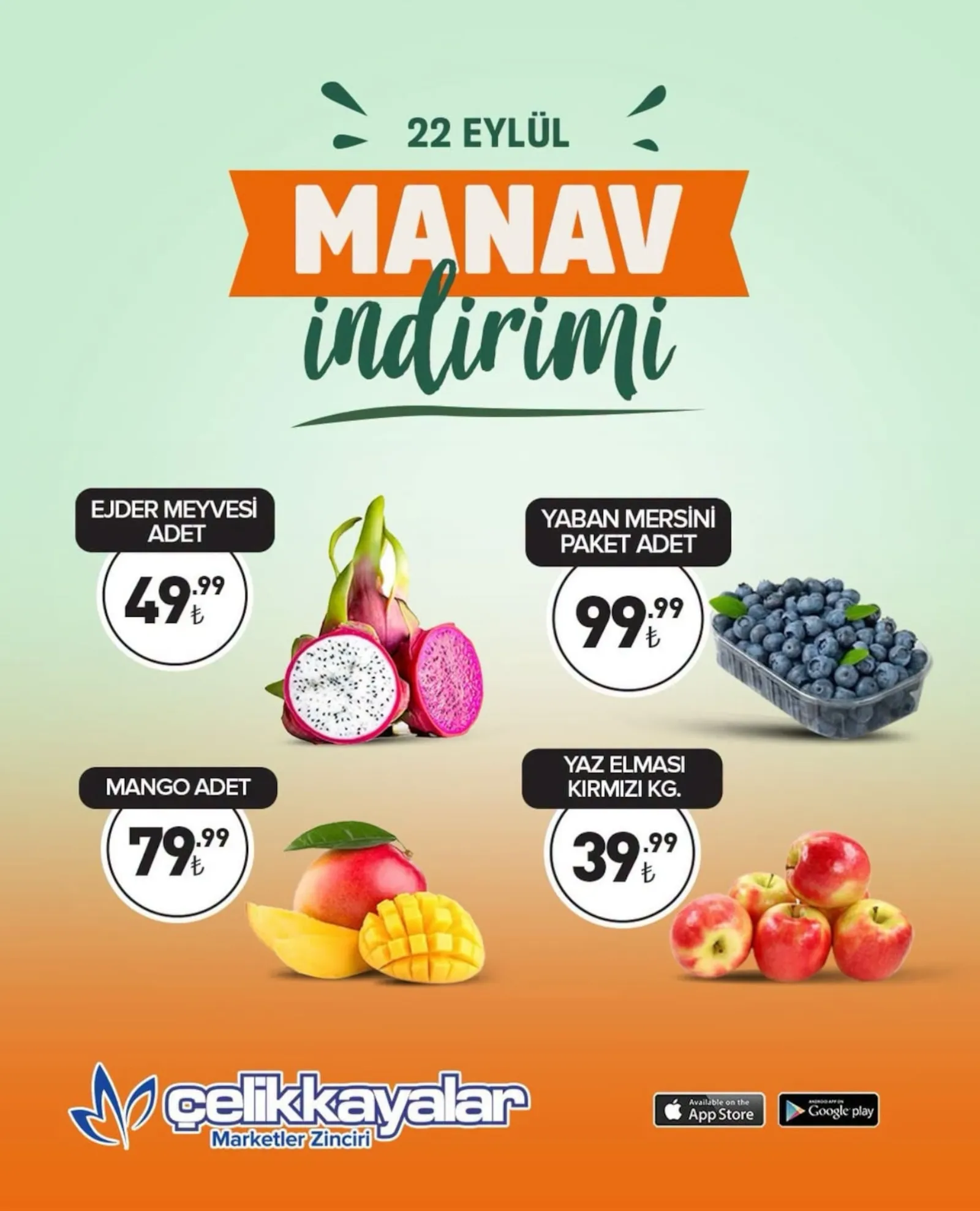 Çelikkayalar broşürü sayfa 2