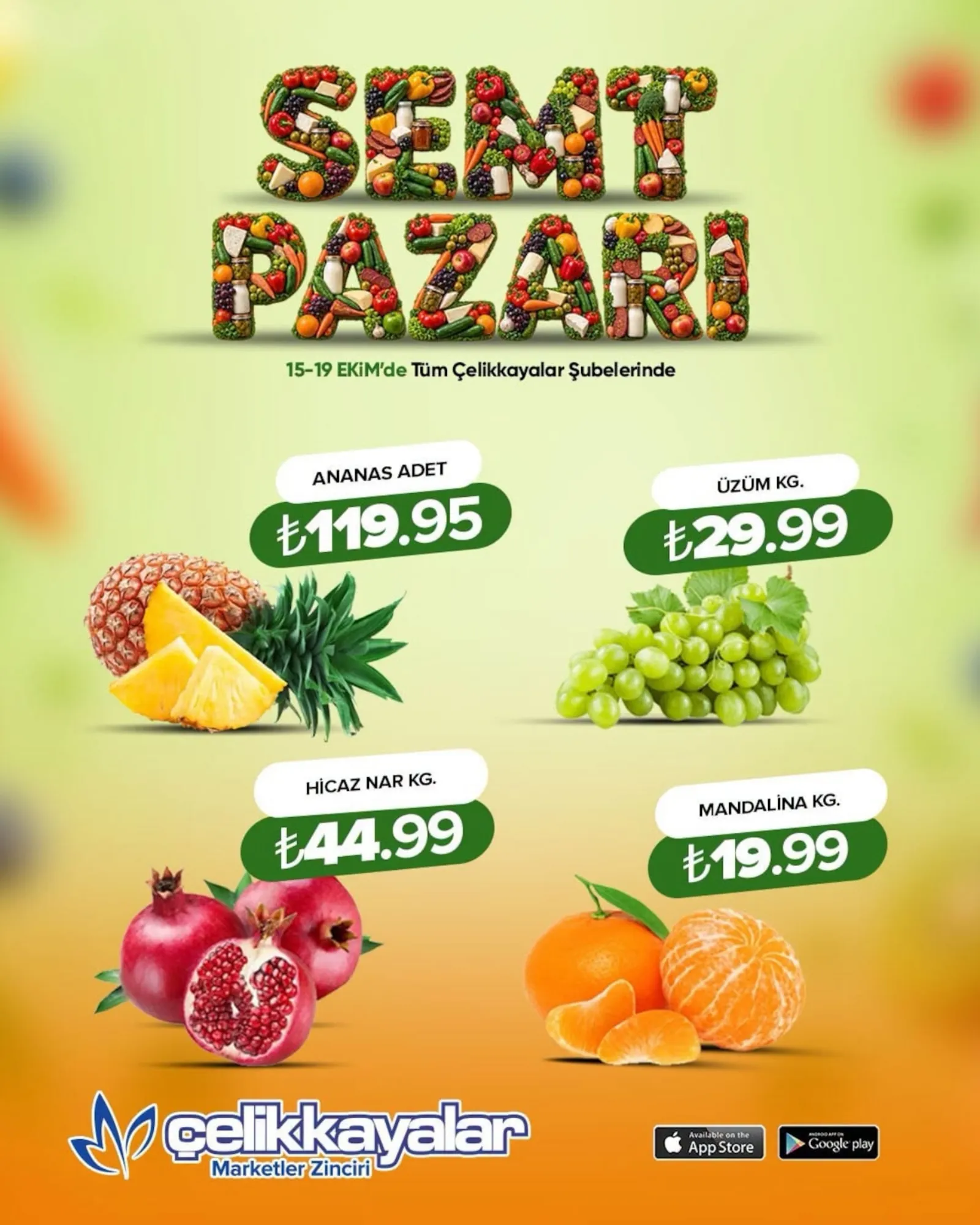 Çelikkayalar broşürü sayfa 5