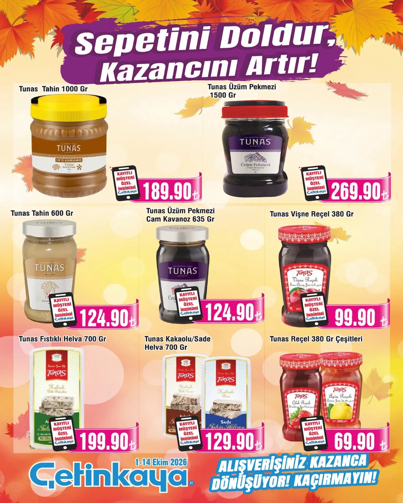 Çetinkaya broşürü sayfa 12
