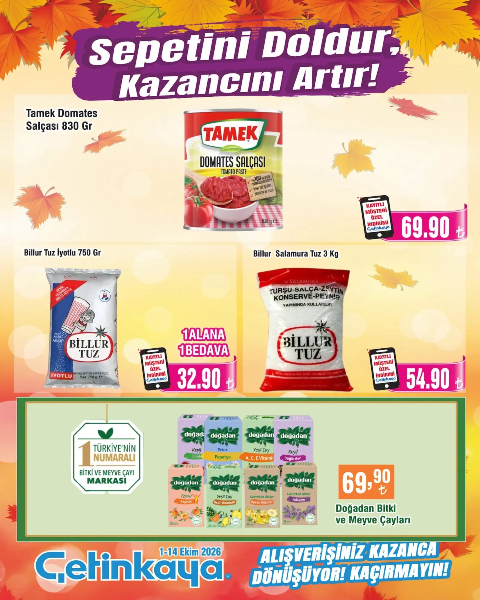 Çetinkaya broşürü sayfa 10