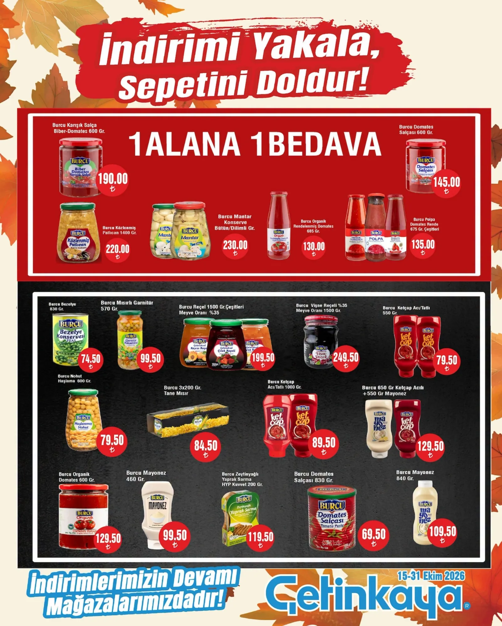 Çetinkaya broşürü sayfa 19