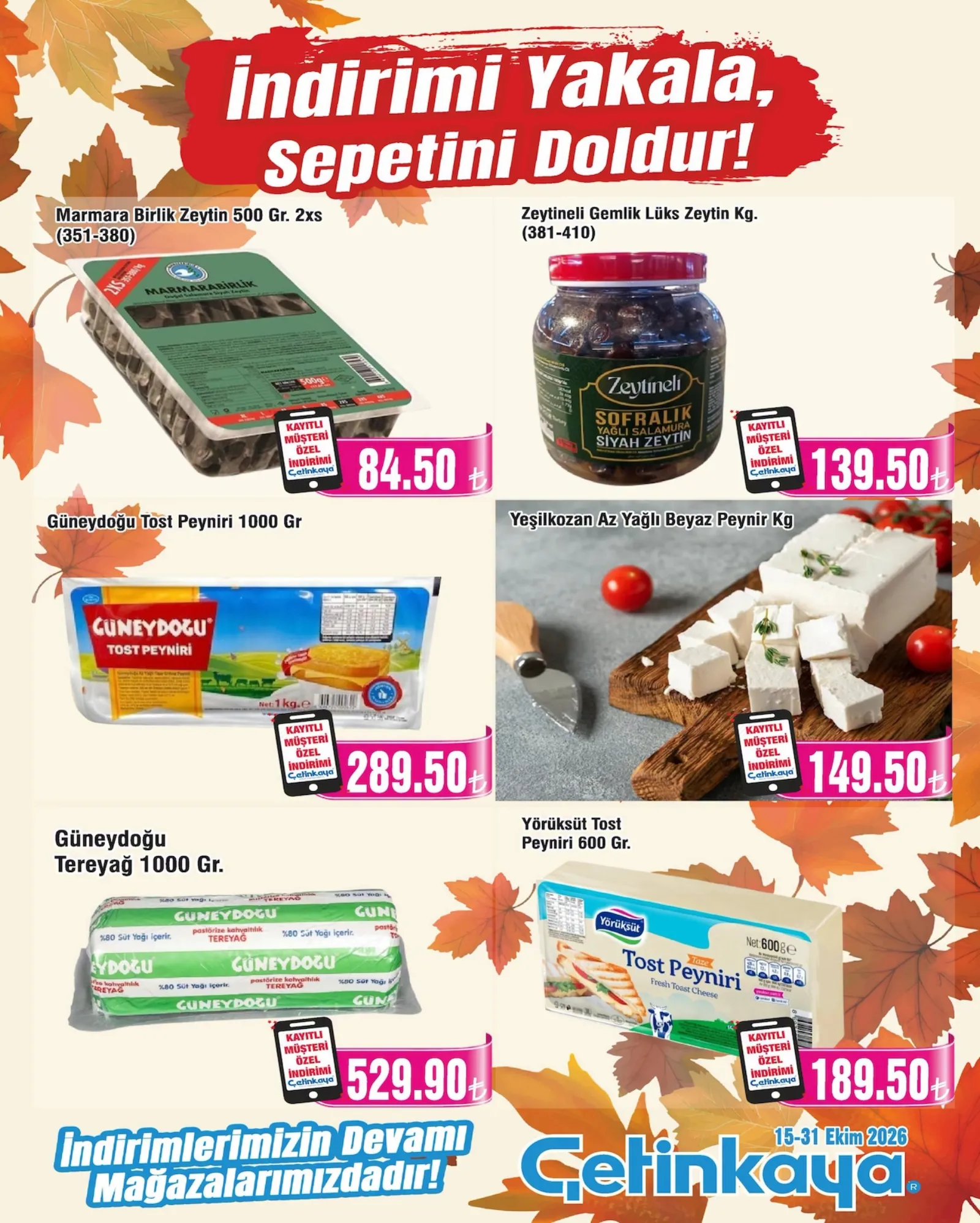 Çetinkaya broşürü sayfa 4