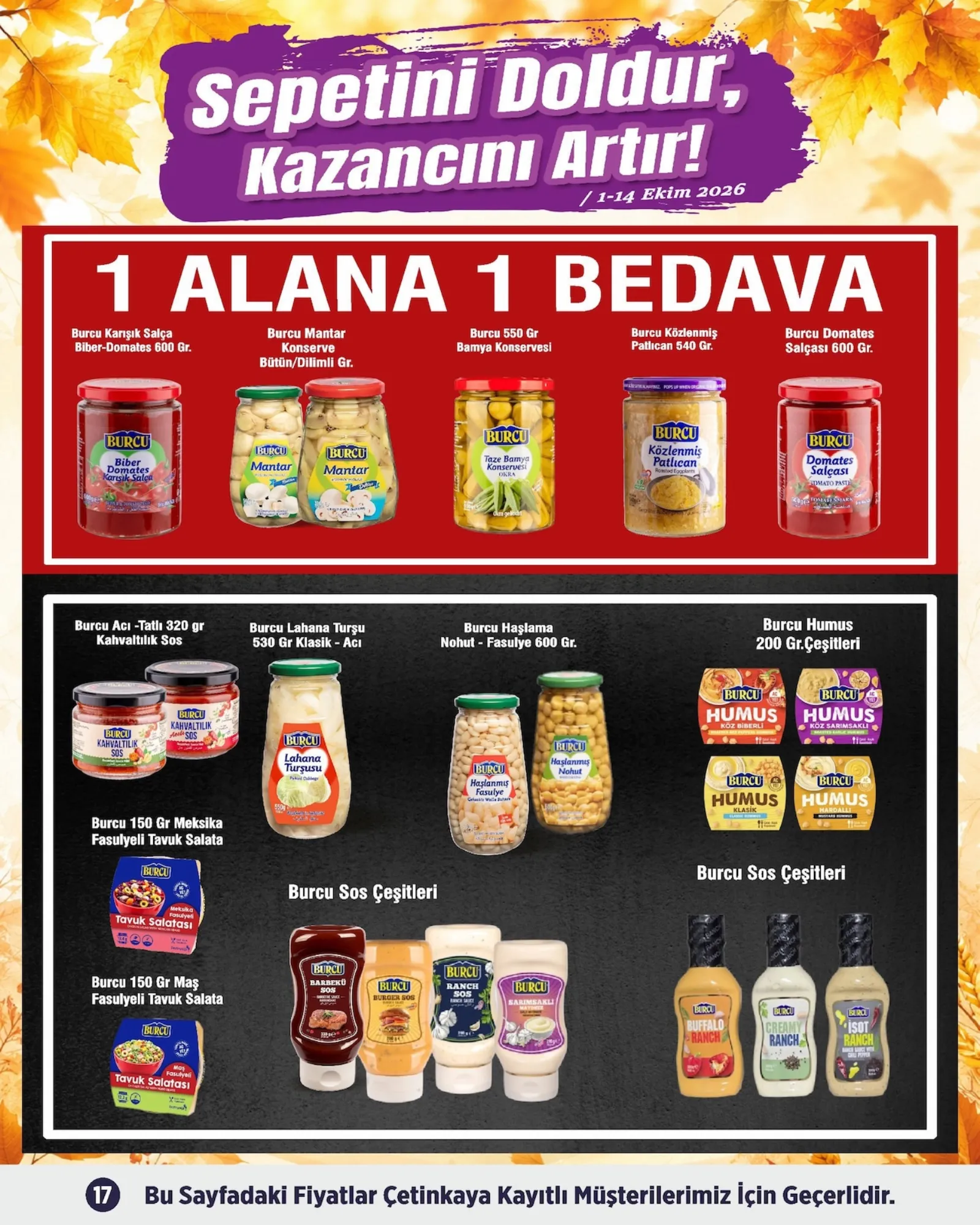 Çetinkaya broşürü sayfa 17