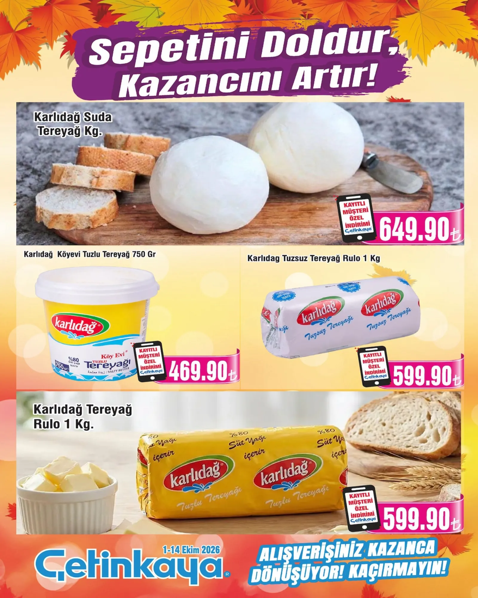 Çetinkaya broşürü sayfa 4