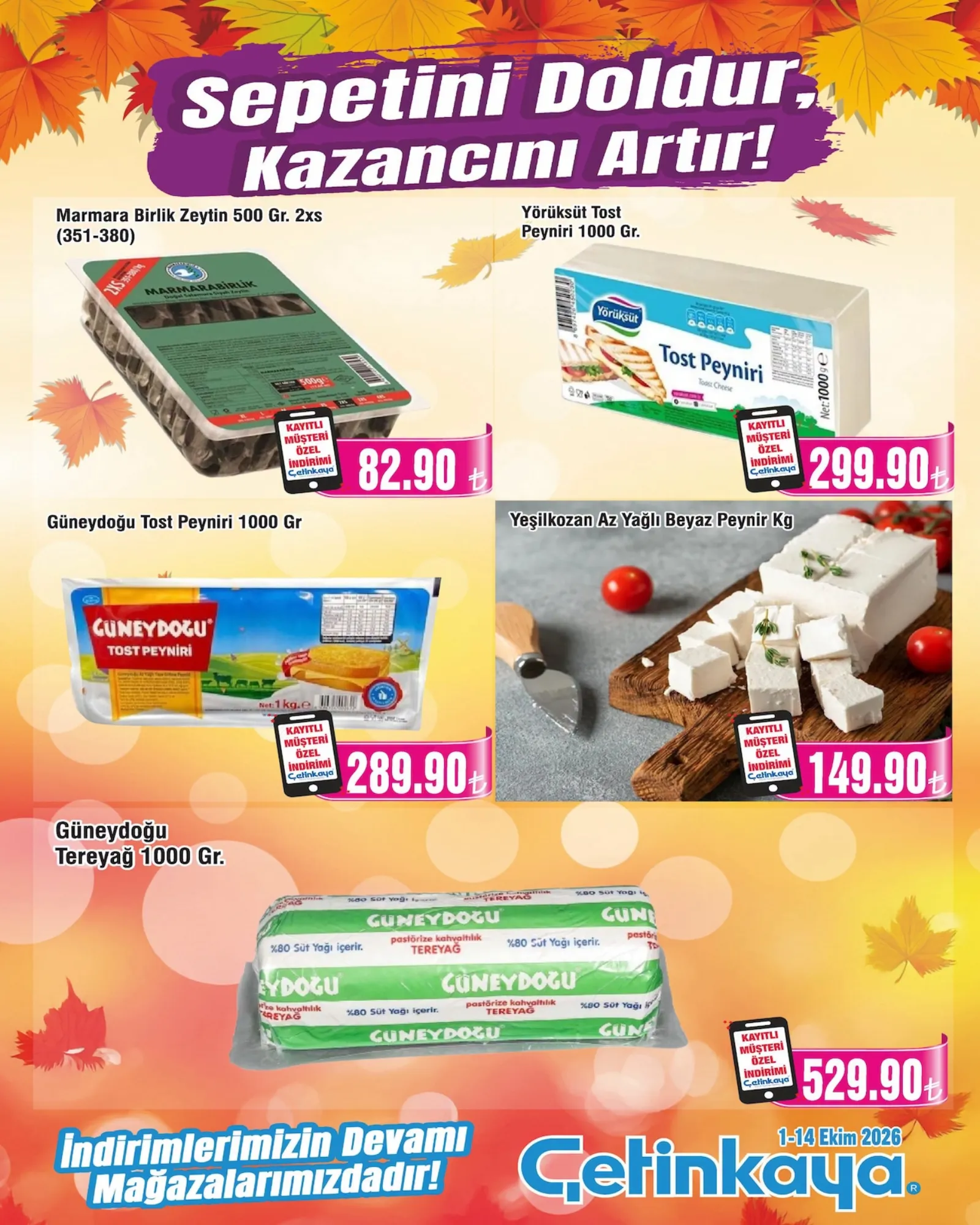 Çetinkaya broşürü sayfa 5