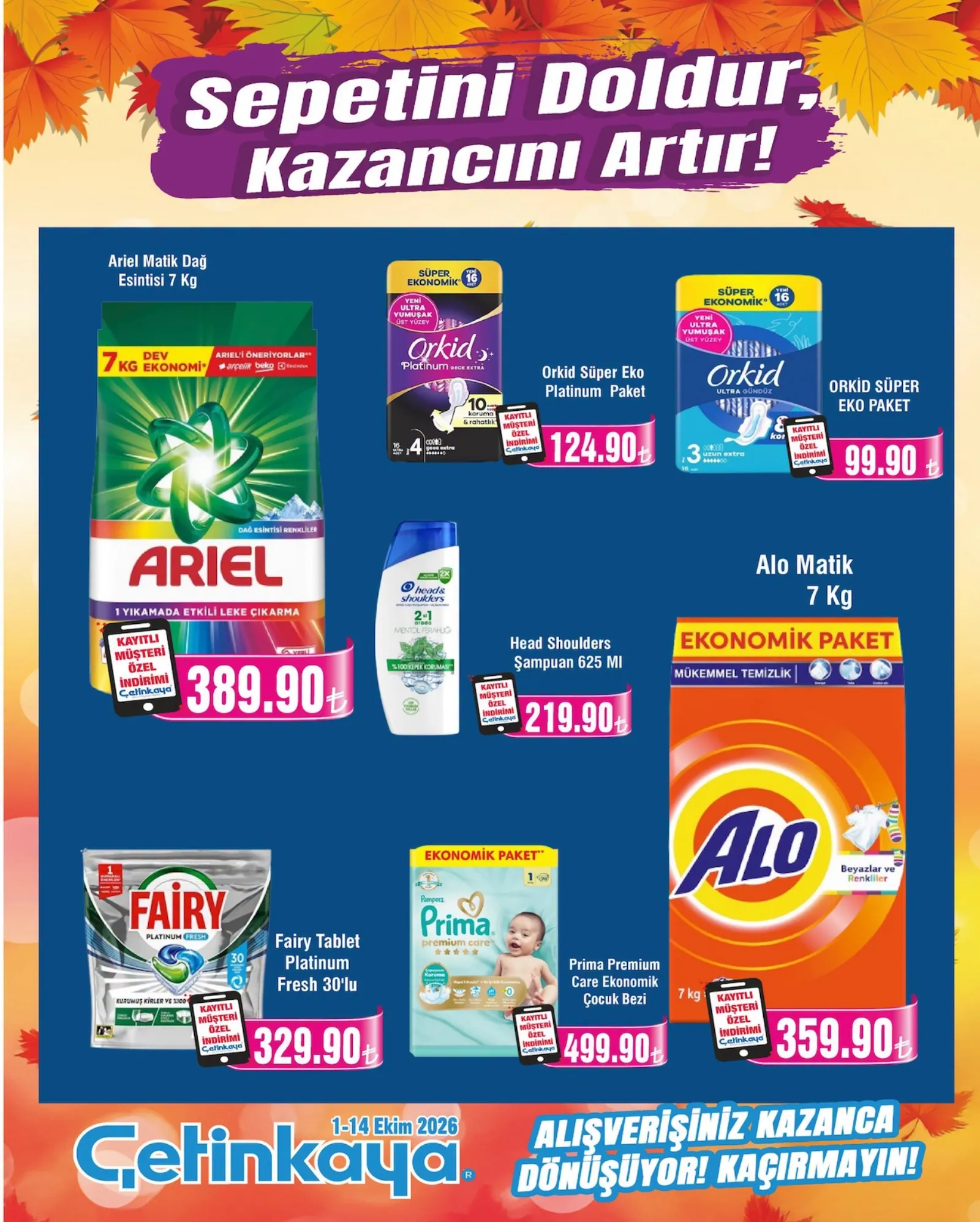 Çetinkaya broşürü sayfa 31