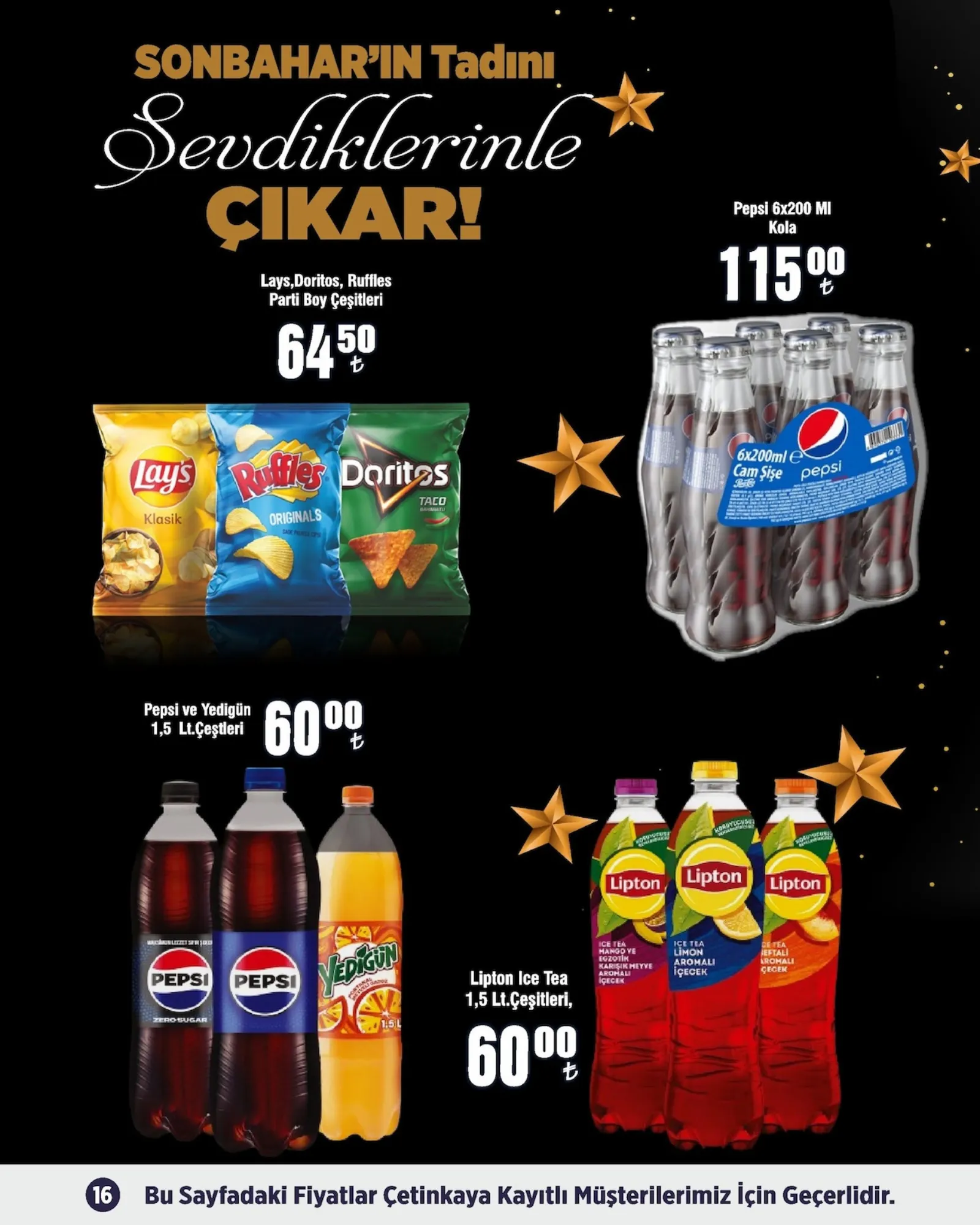 Çetinkaya broşürü sayfa 16