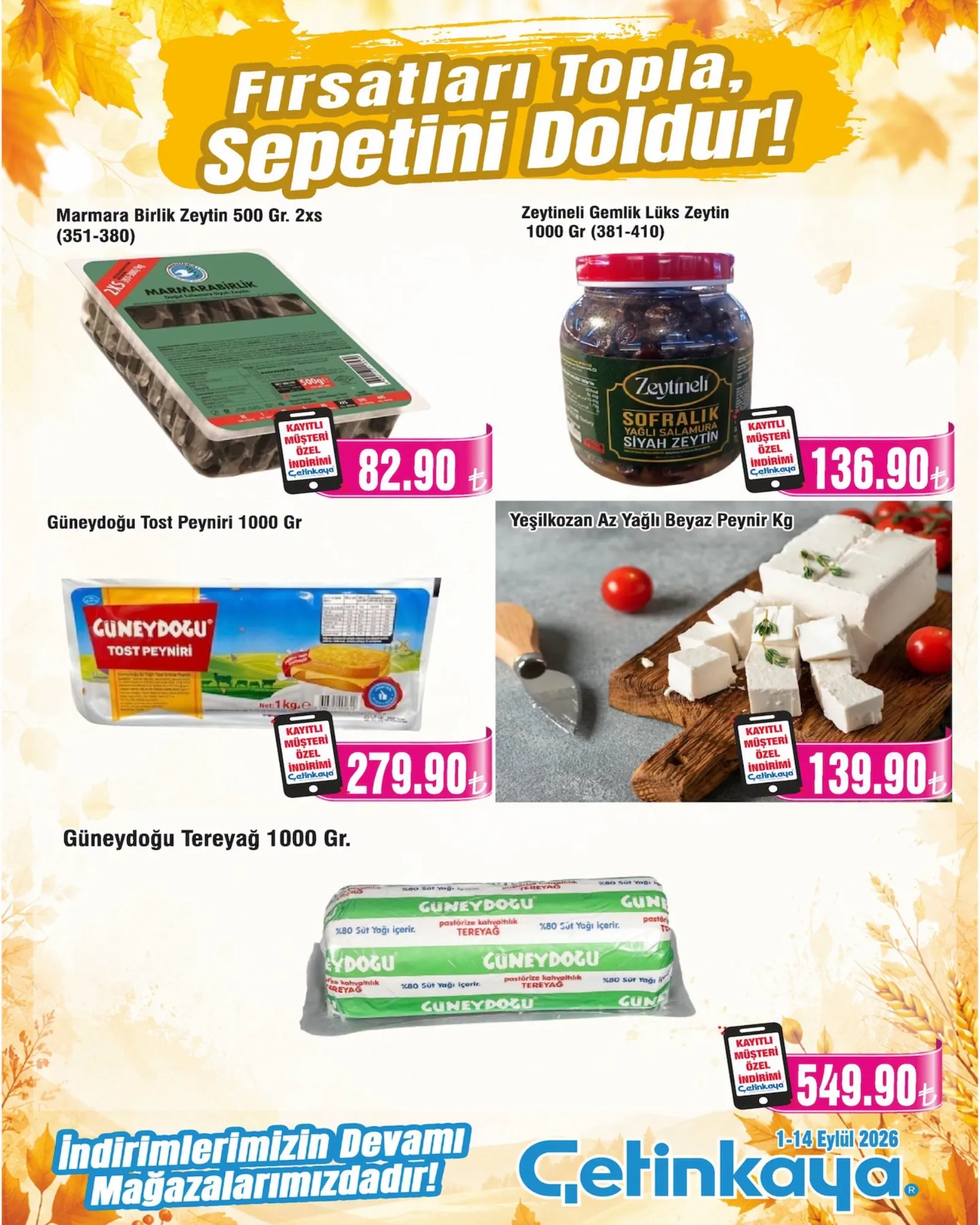 Çetinkaya broşürü sayfa 4