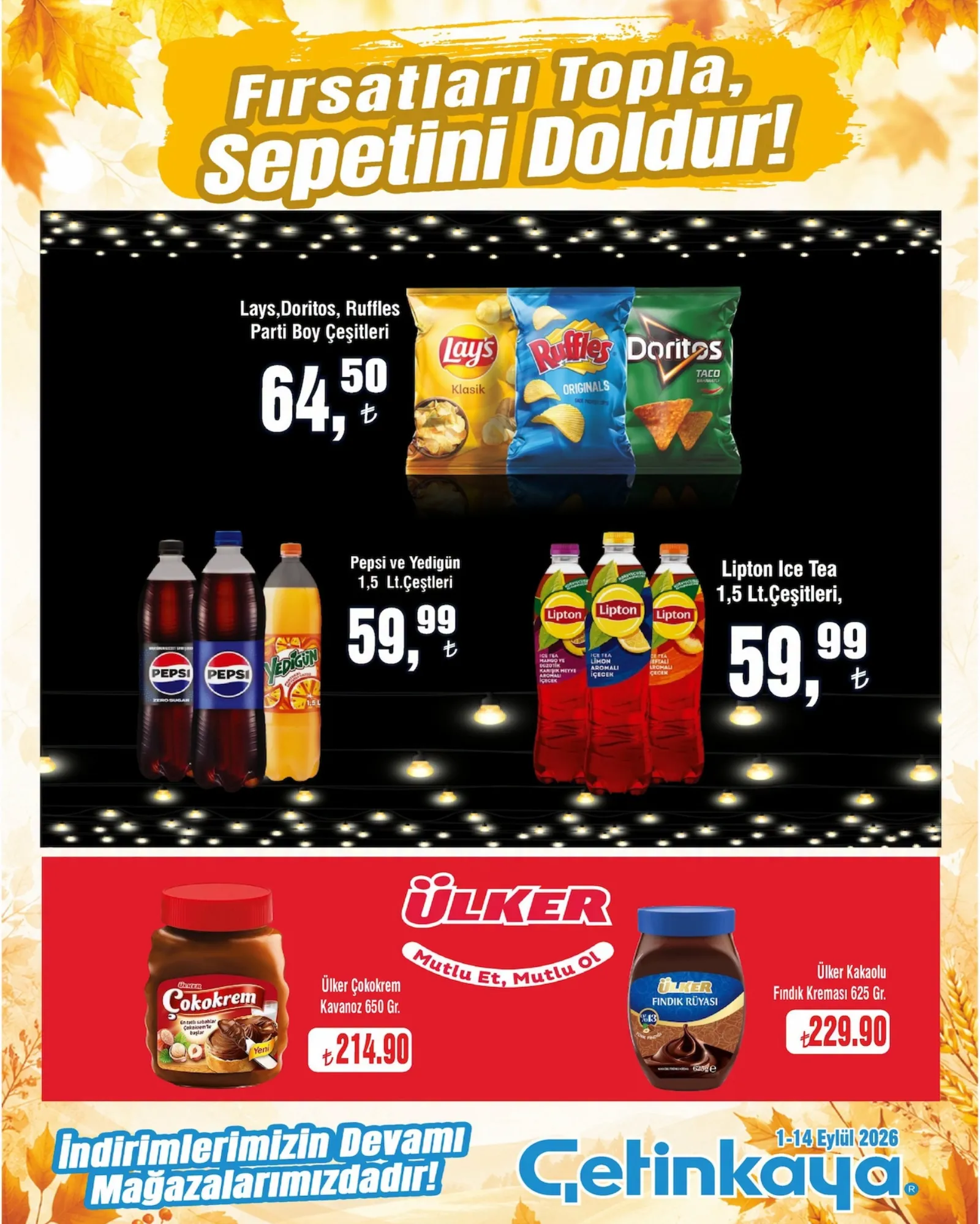 Çetinkaya broşürü sayfa 8