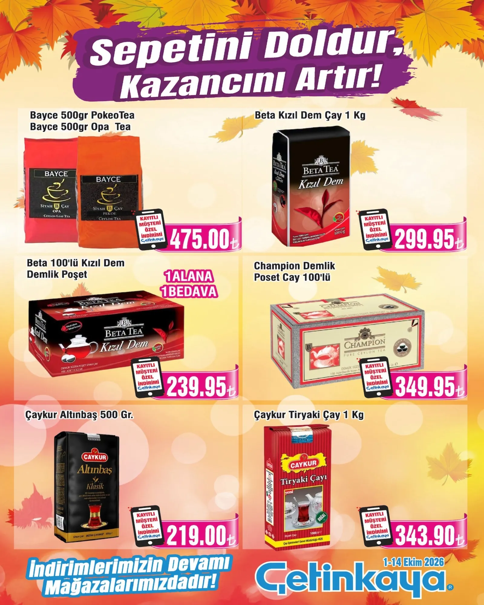 Çetinkaya broşürü sayfa 7
