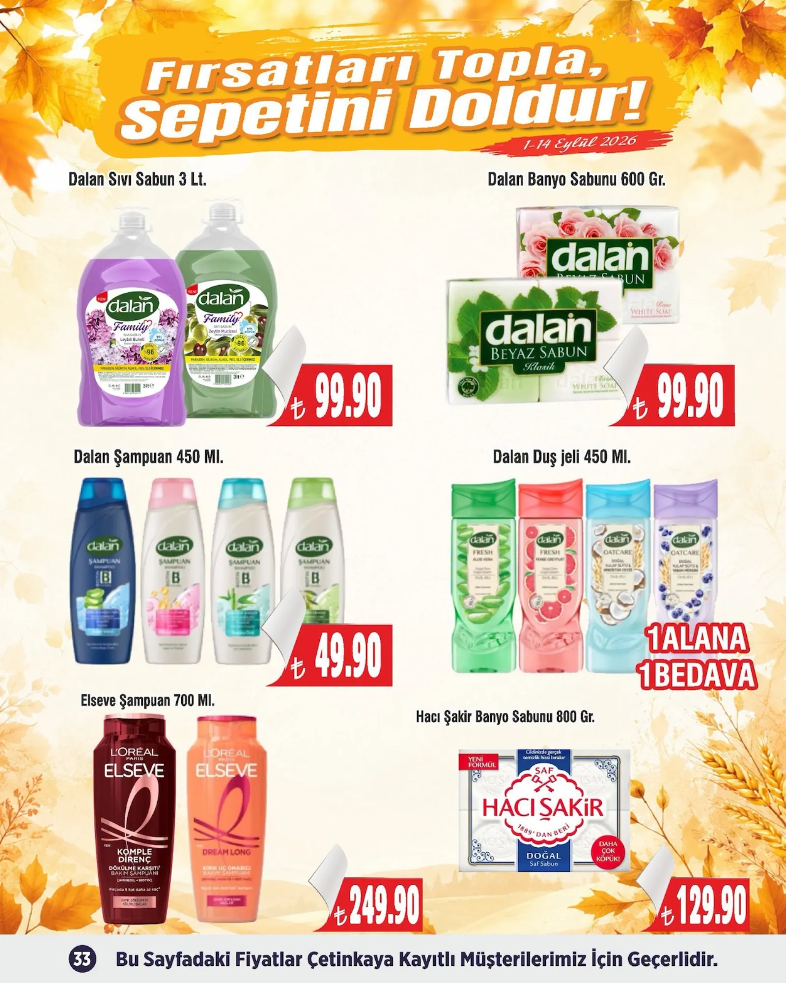 Çetinkaya broşürü sayfa 33