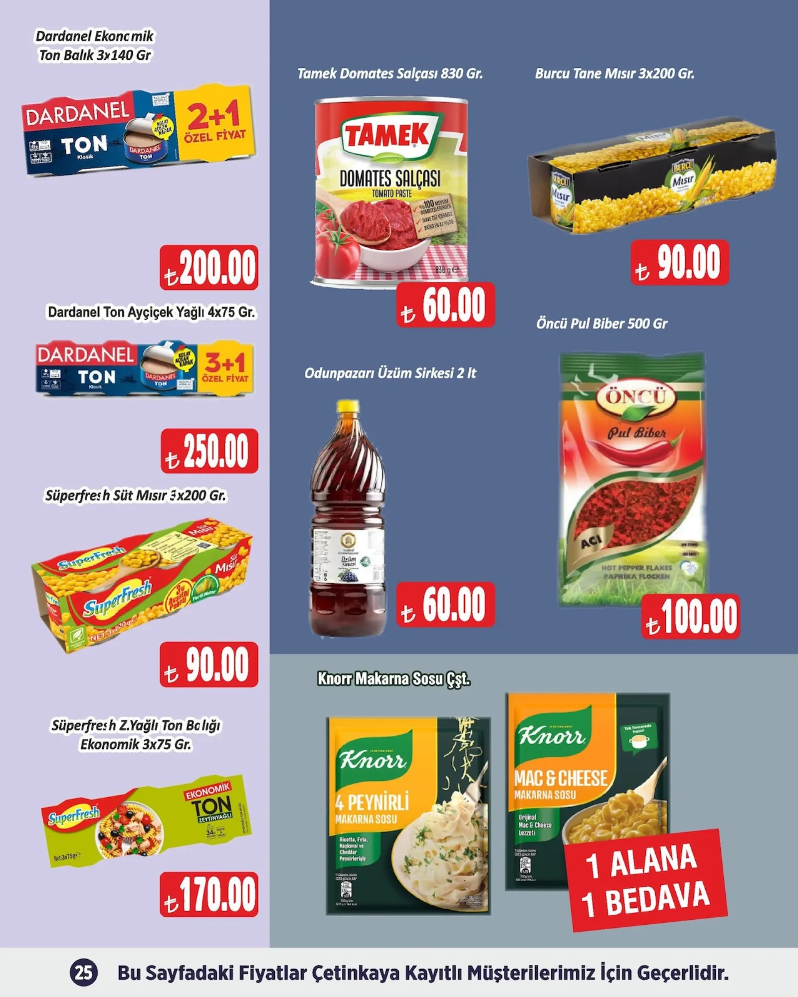 Çetinkaya broşürü sayfa 25