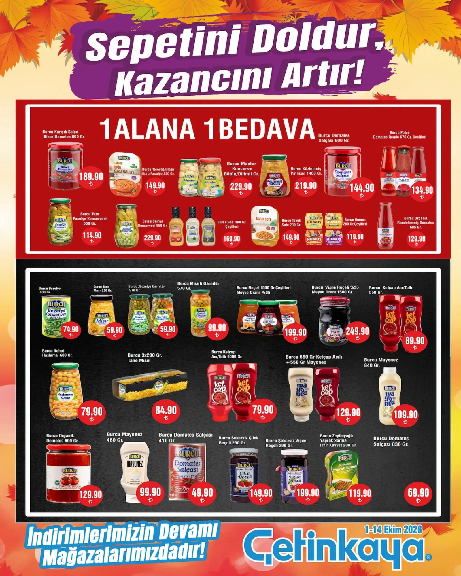 Çetinkaya broşürü sayfa 18