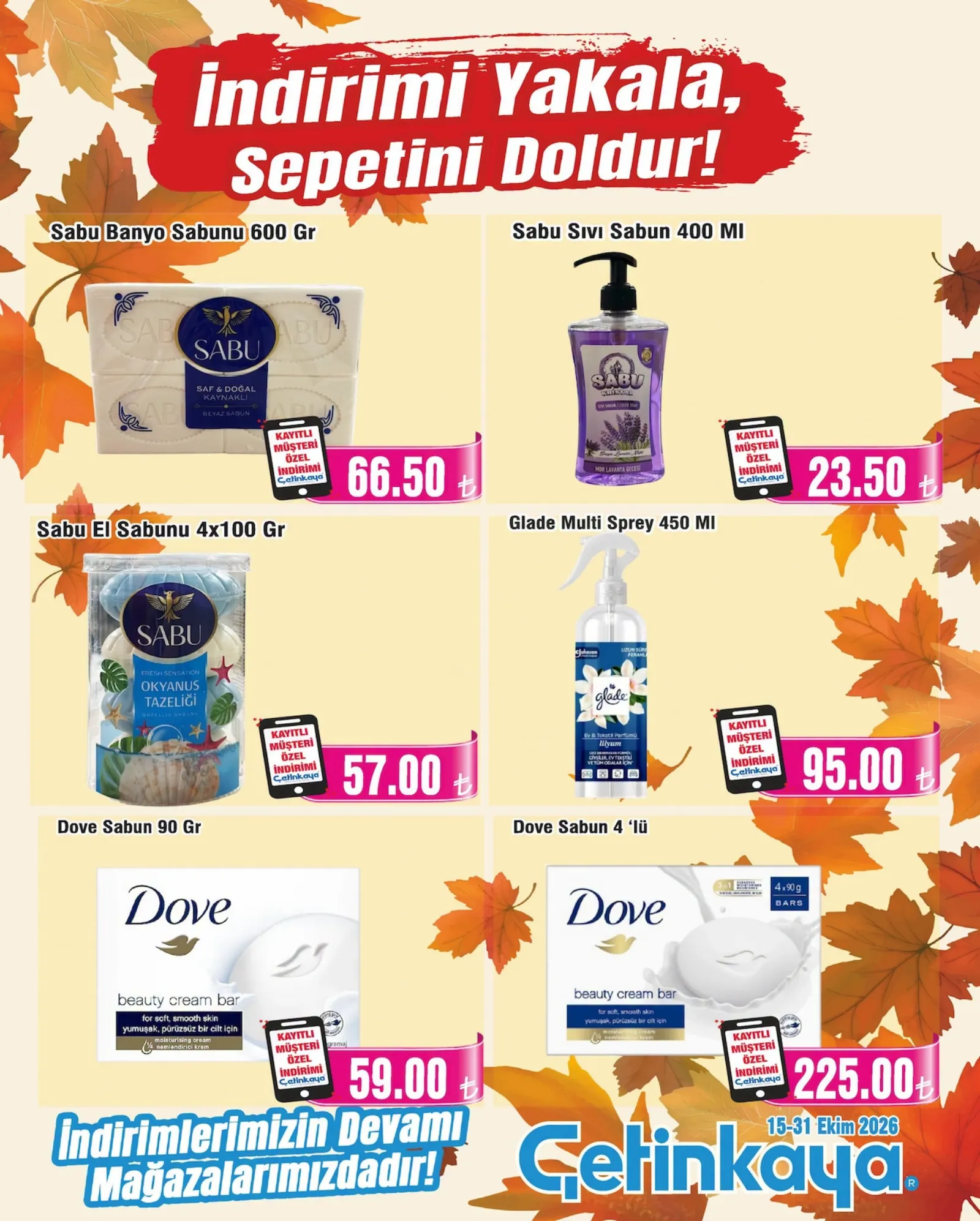 Çetinkaya broşürü sayfa 31