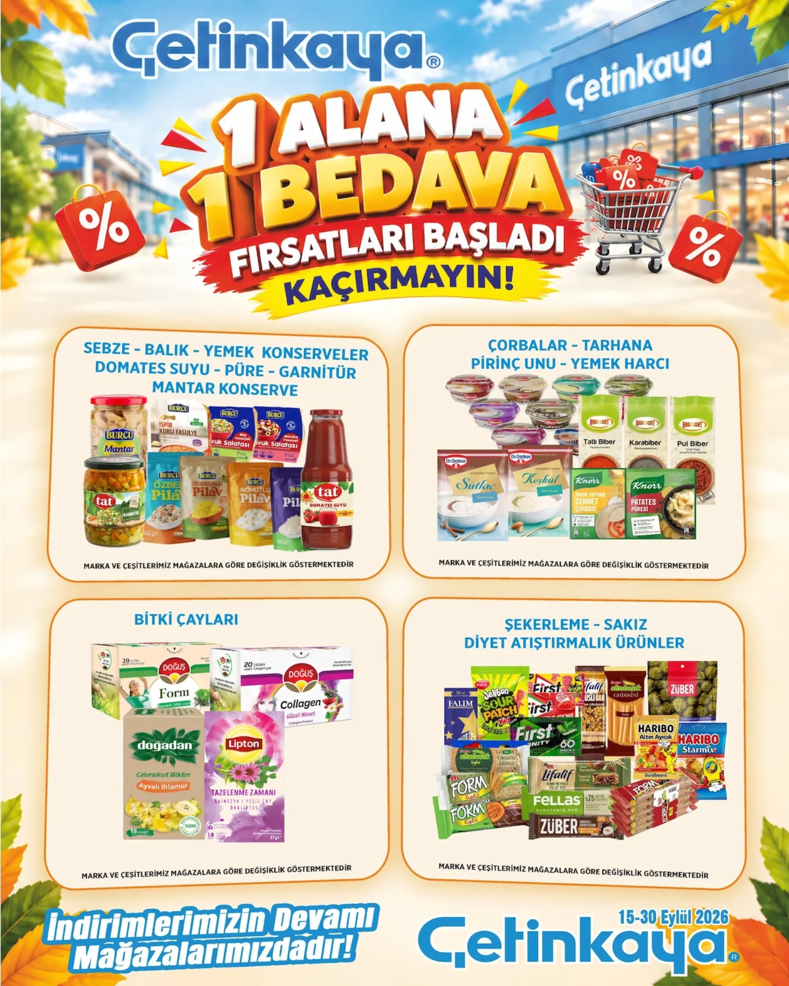 Çetinkaya broşürü sayfa 3