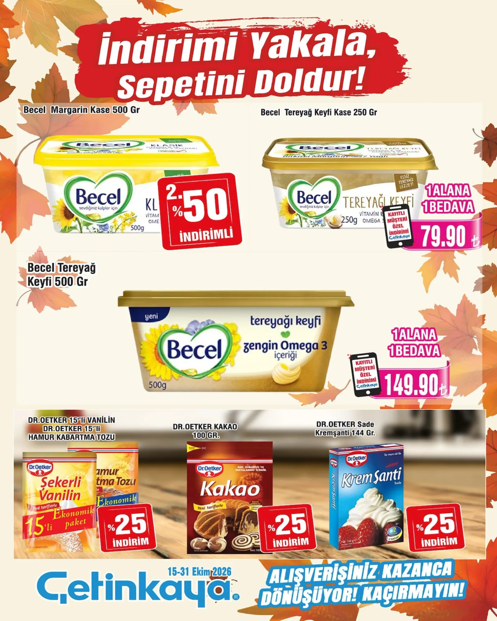 Çetinkaya broşürü sayfa 11