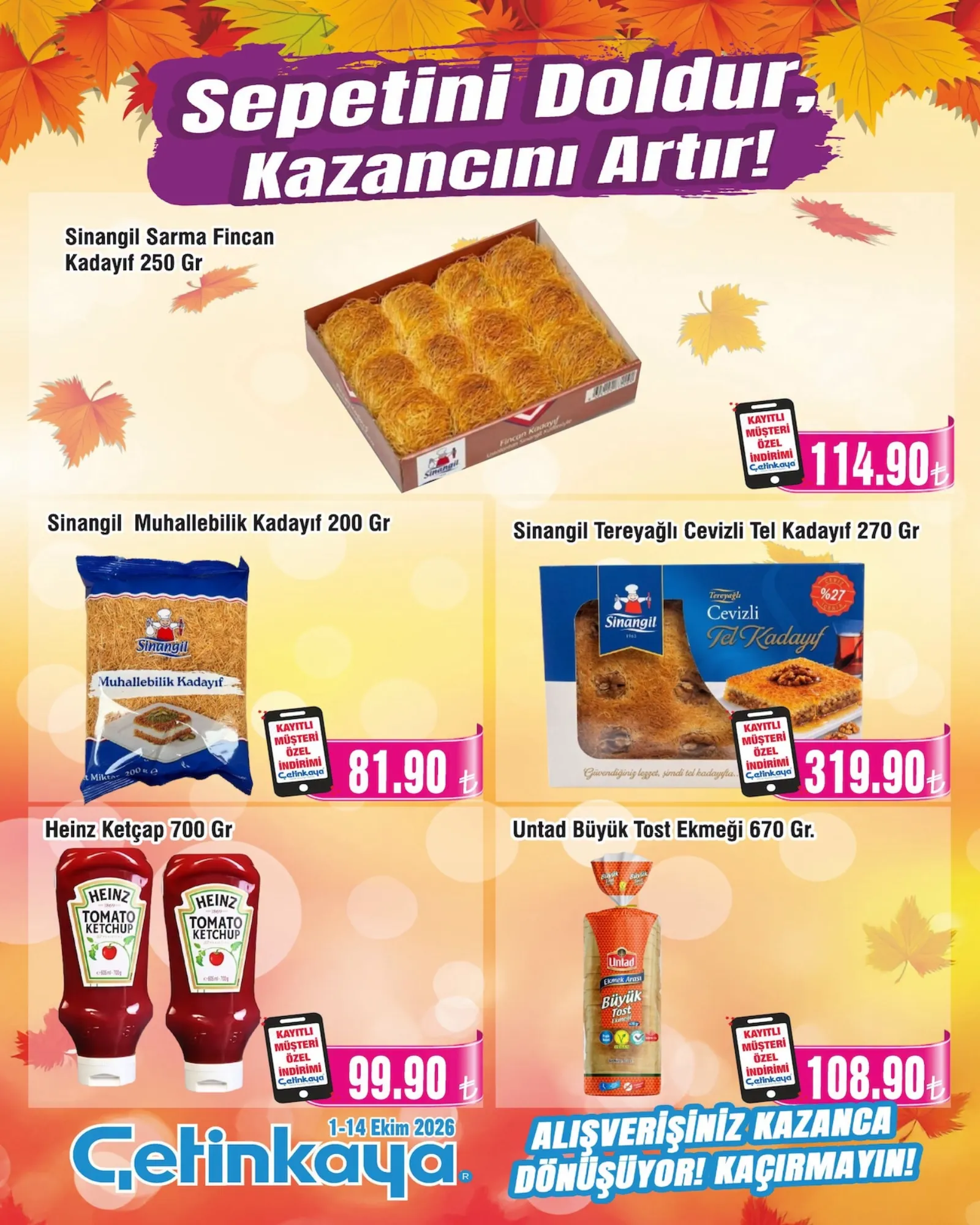 Çetinkaya broşürü sayfa 15