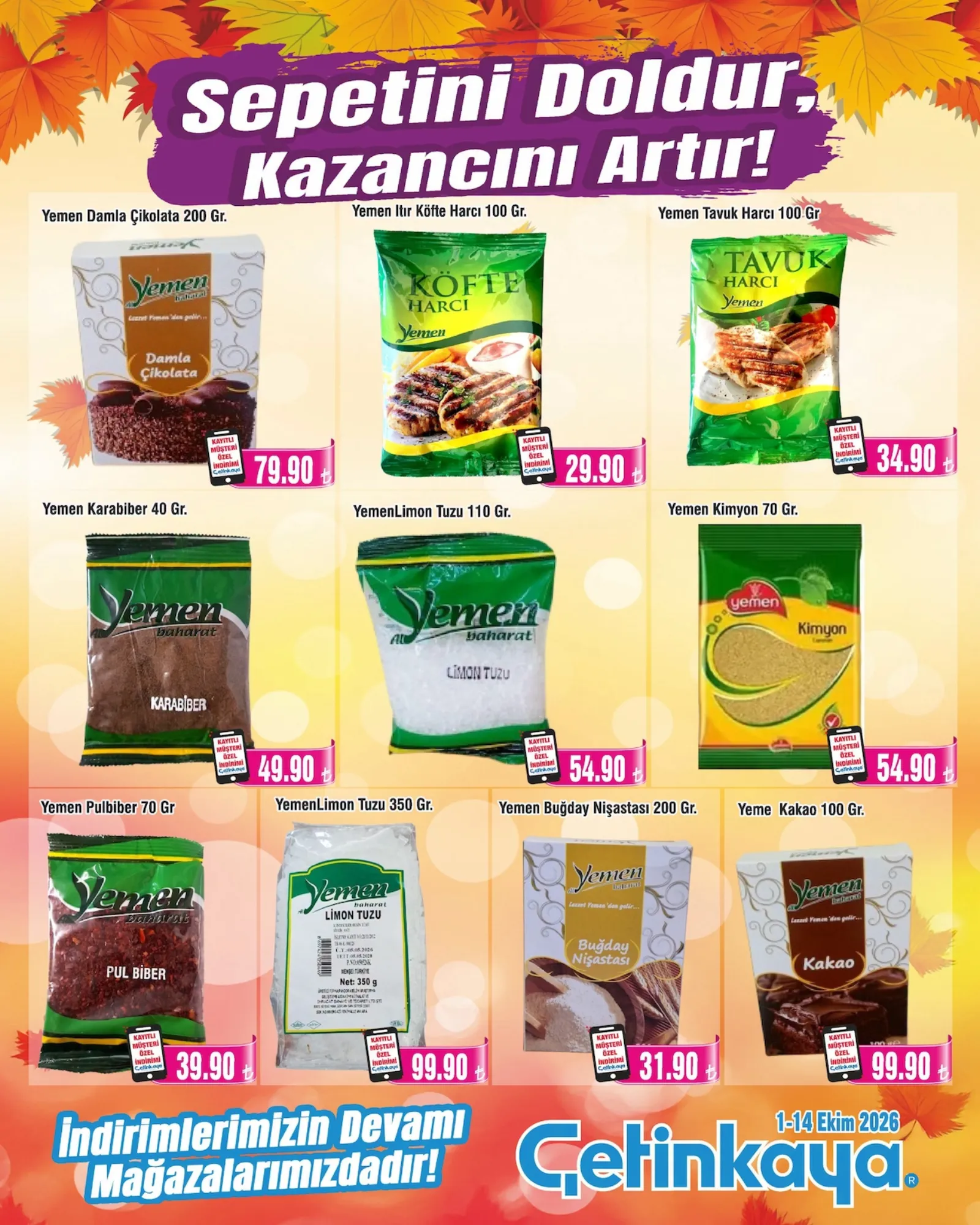 Çetinkaya broşürü sayfa 9