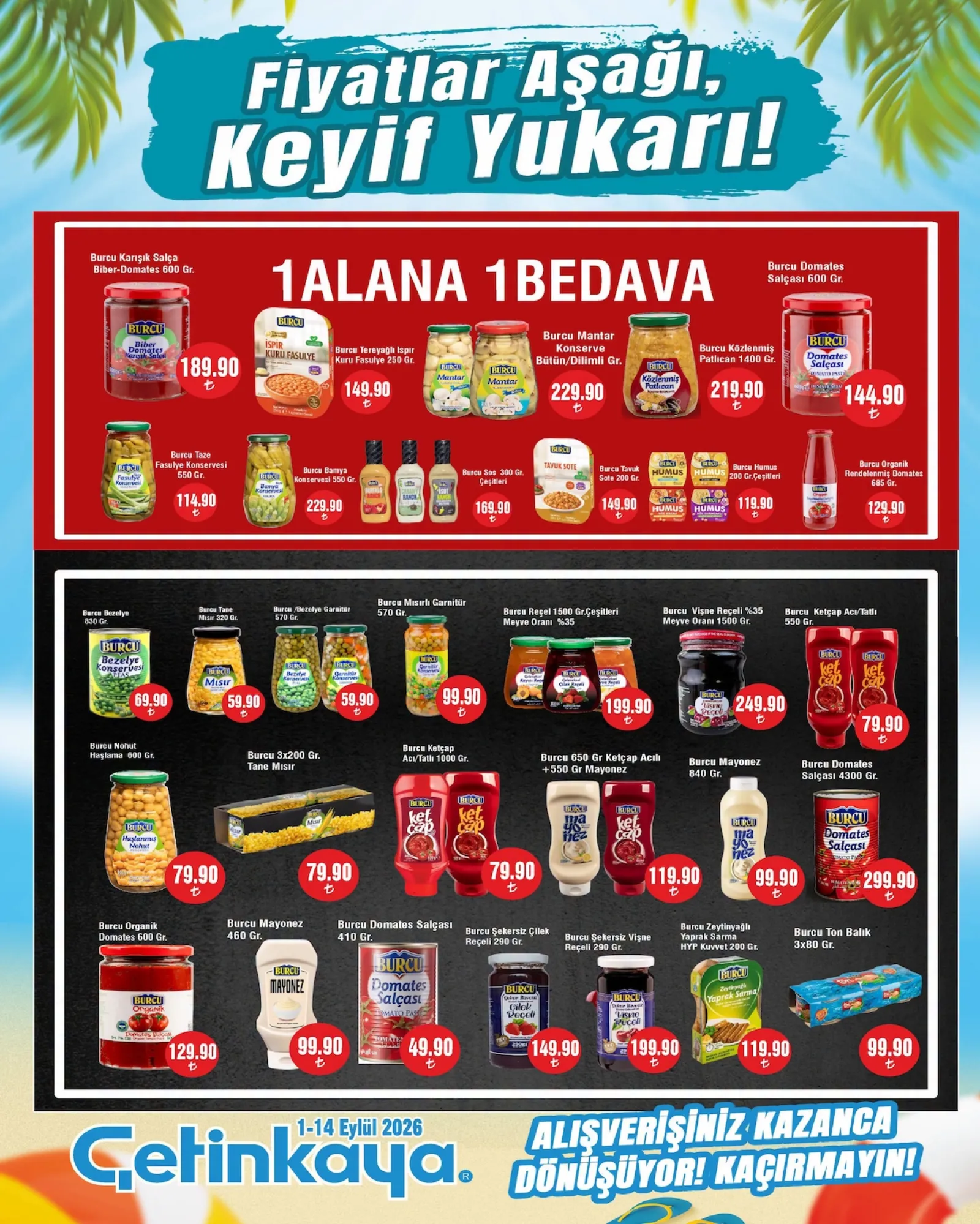 Çetinkaya broşürü sayfa 18