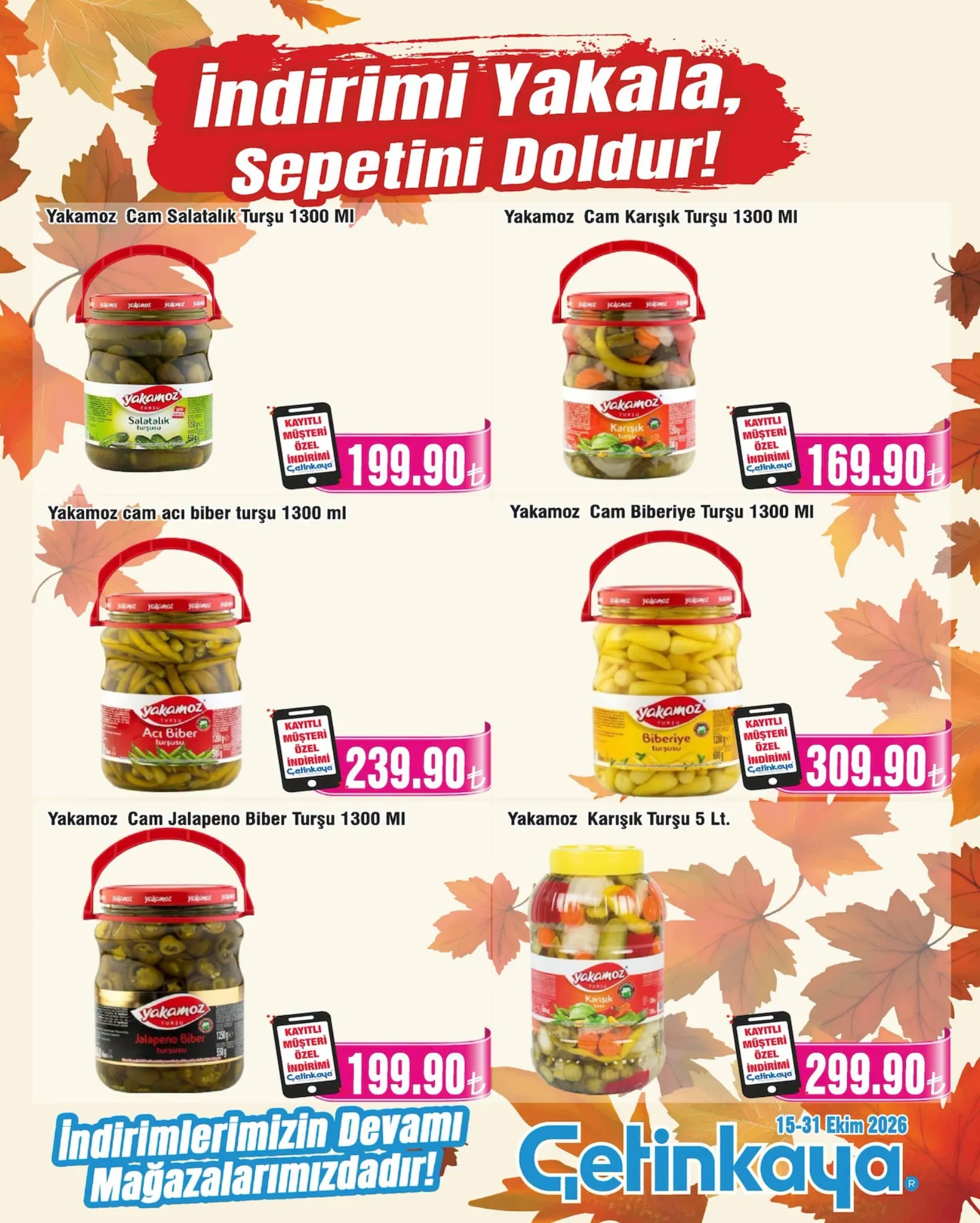 Çetinkaya broşürü sayfa 15
