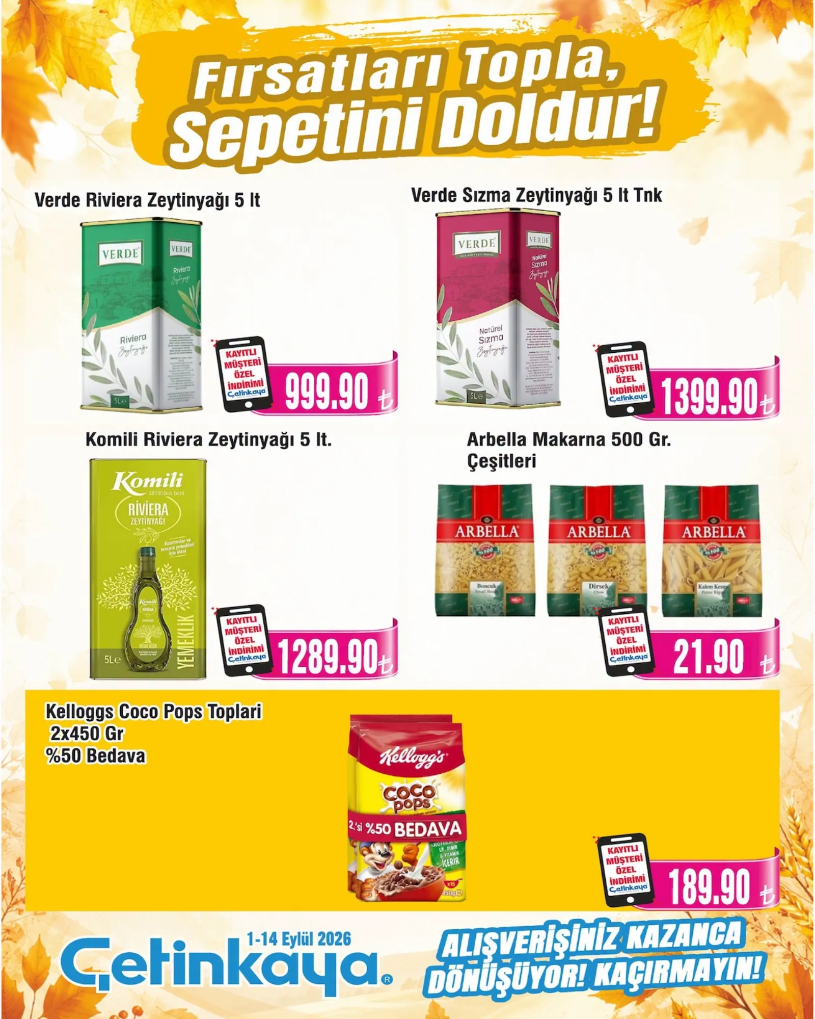 Çetinkaya broşürü sayfa 11