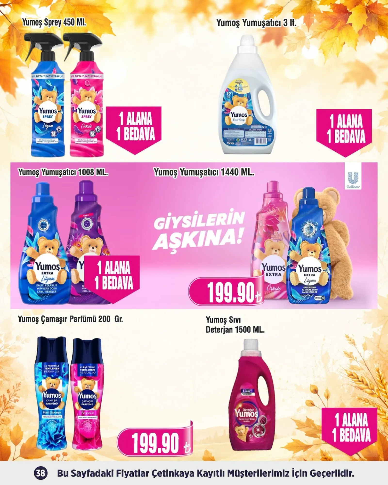 Çetinkaya broşürü sayfa 38