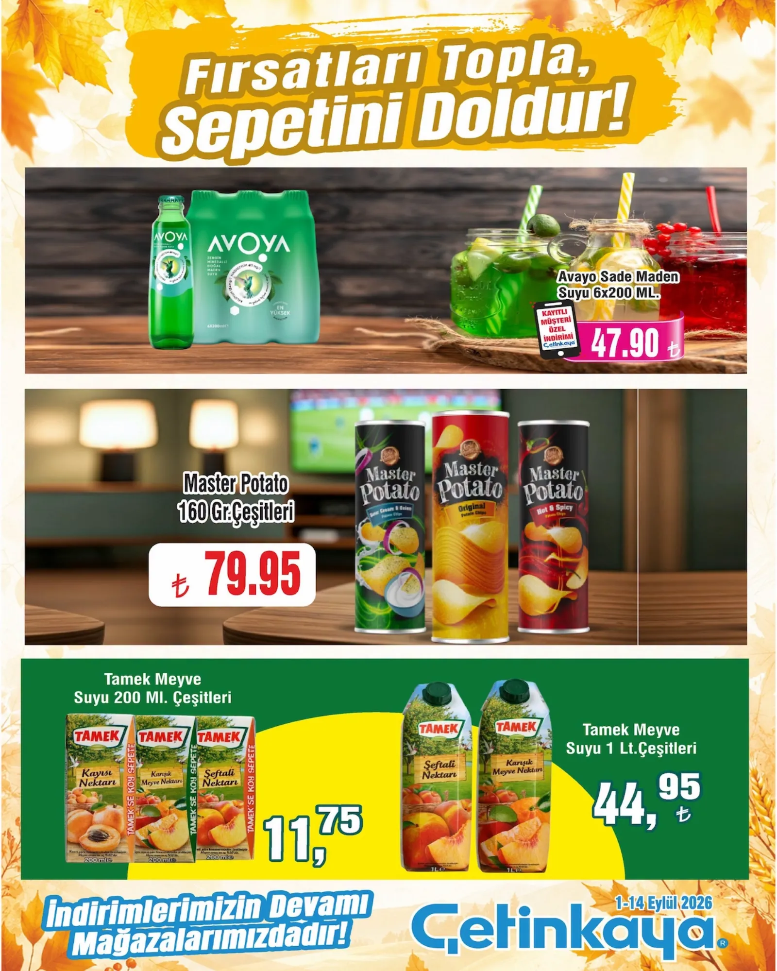 Çetinkaya broşürü sayfa 6