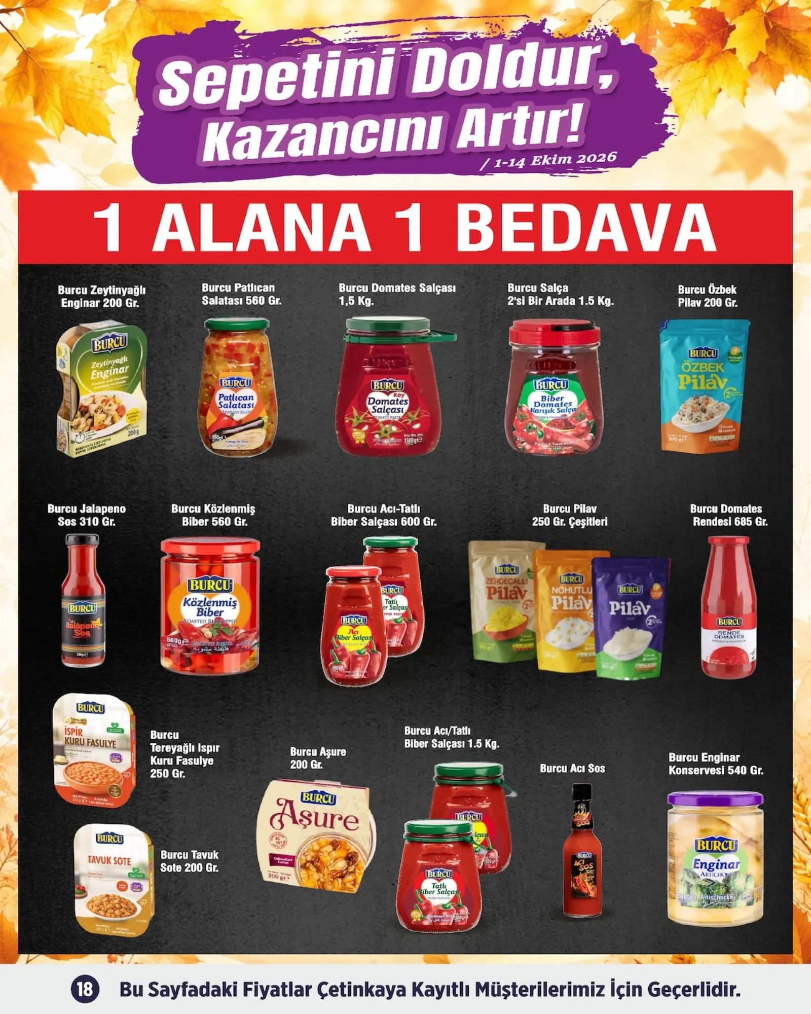 Çetinkaya broşürü sayfa 18