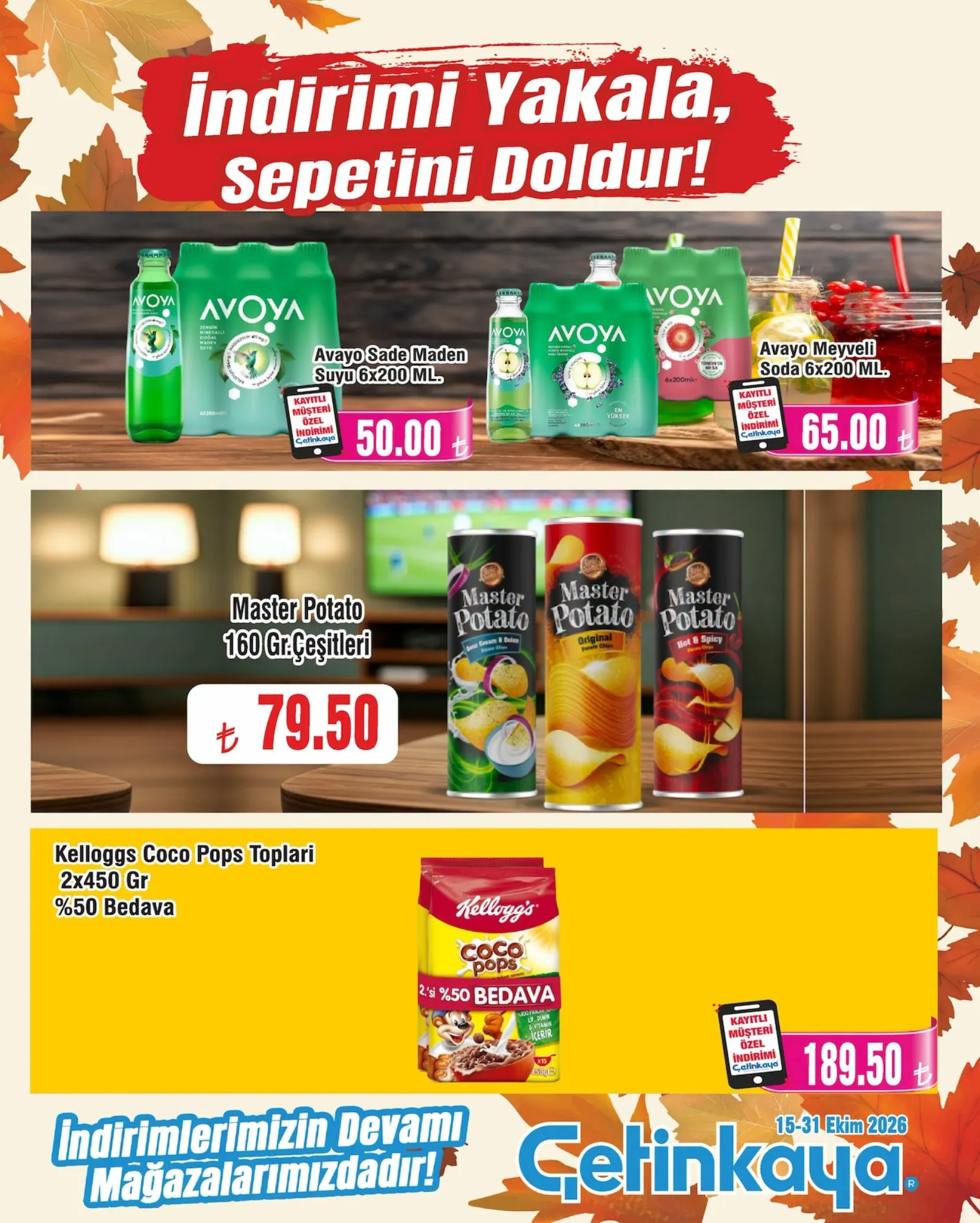 Çetinkaya broşürü sayfa 6